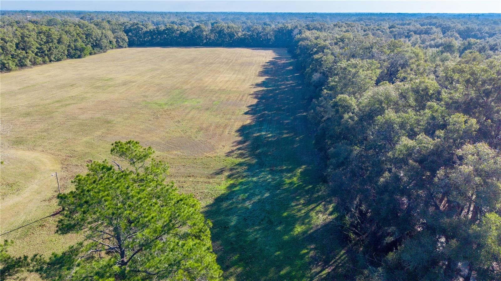 Land at 0000 SW 202 ST, NEWBERRY, photo 10 of 13