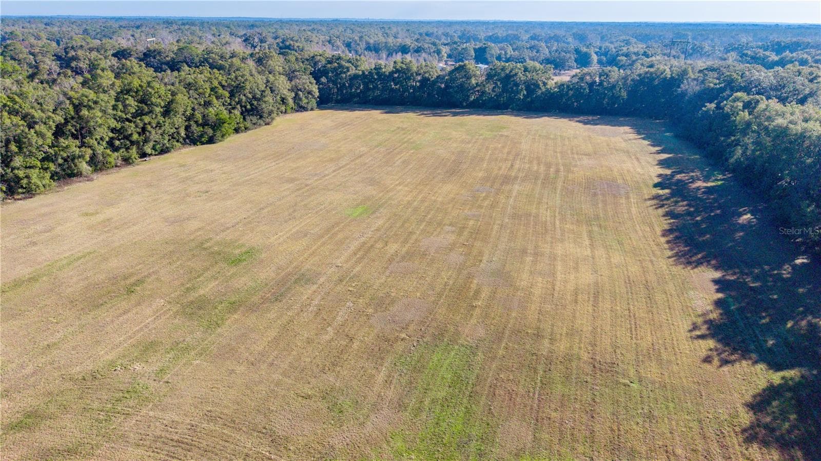 Land at 0000 SW 202 ST, NEWBERRY, photo 12 of 13