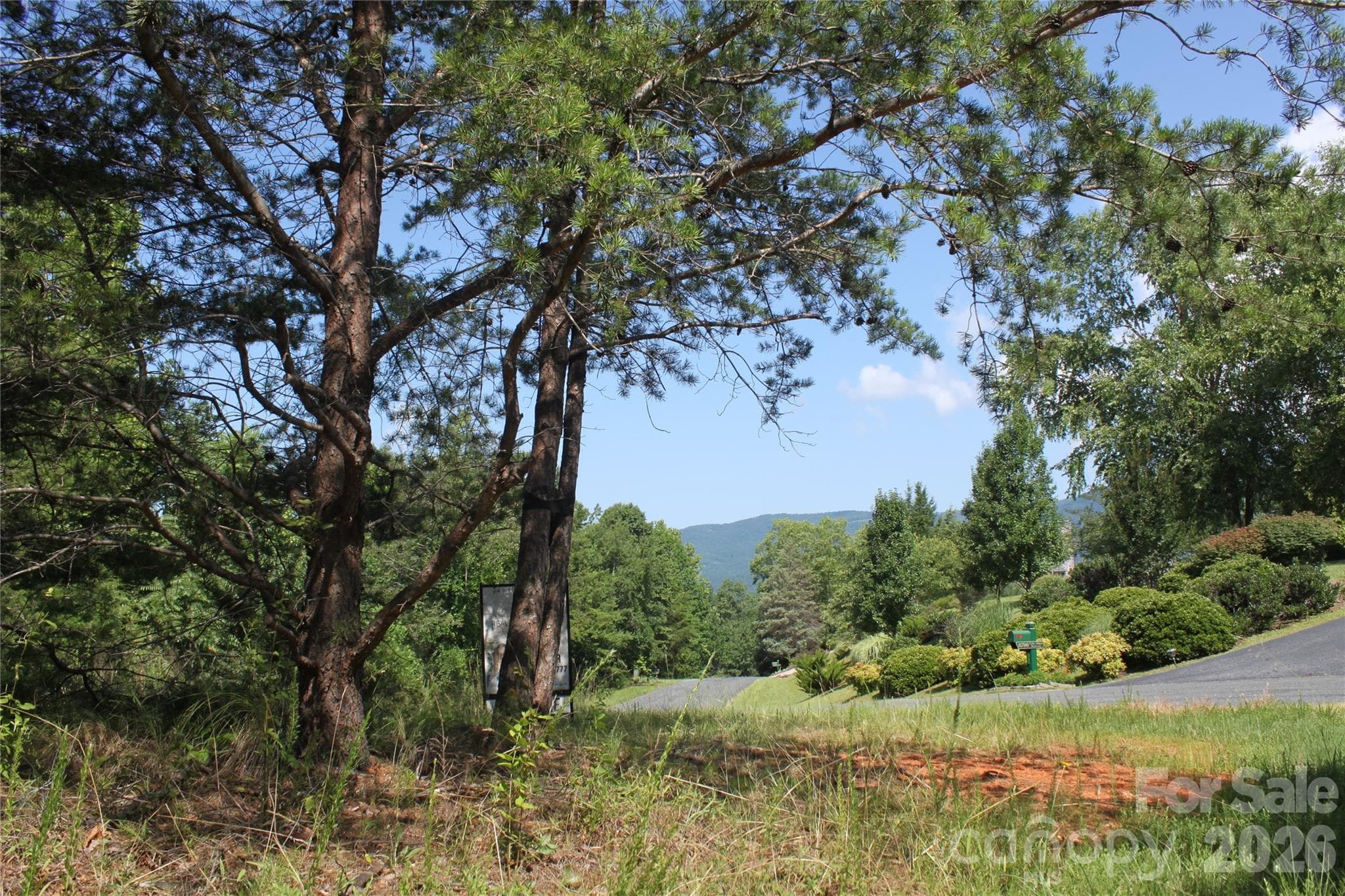 Acreage at Mill Spring, photo 6 of 29