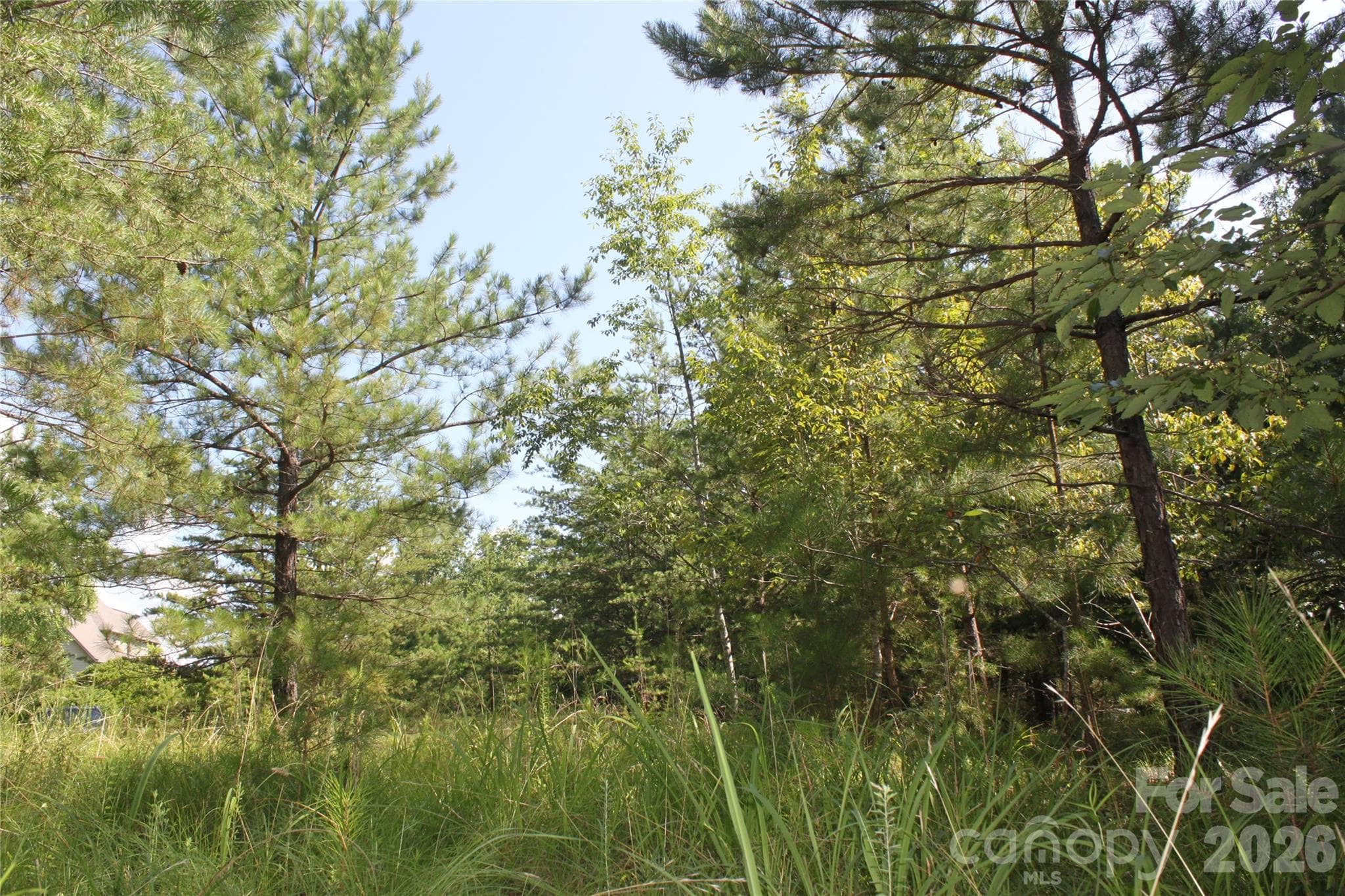 Acreage at Mill Spring, photo 7 of 29