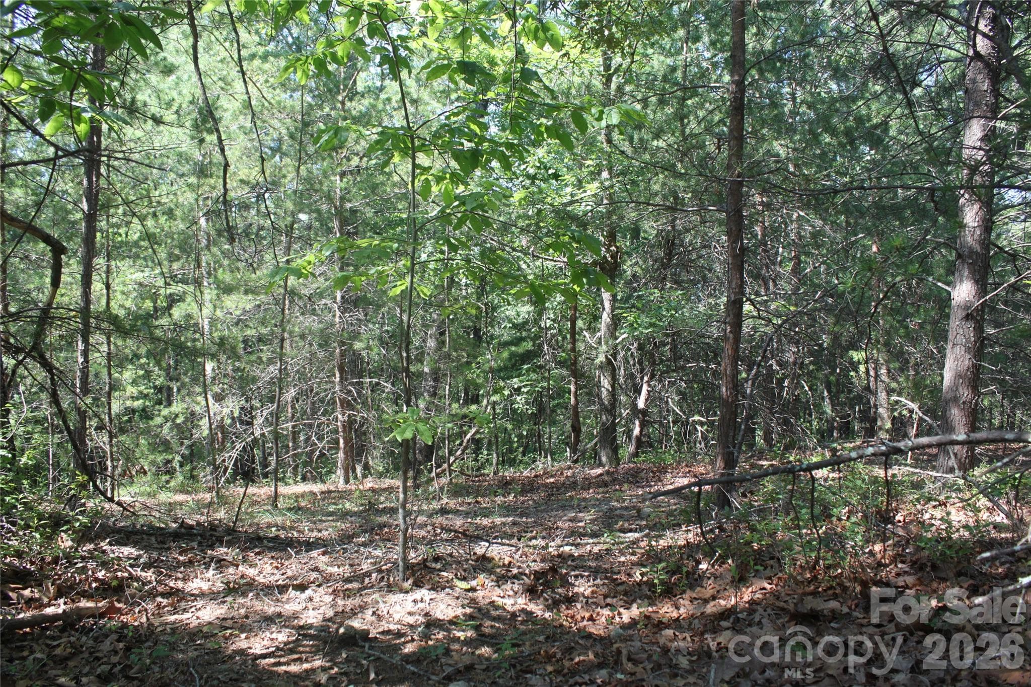 Acreage at Mill Spring, photo 8 of 29