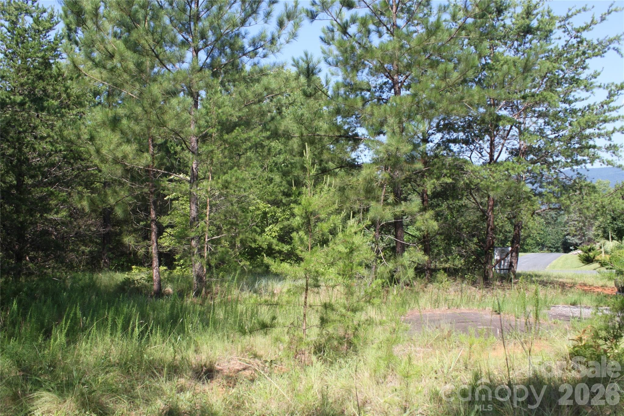 Acreage at Mill Spring, photo 9 of 29