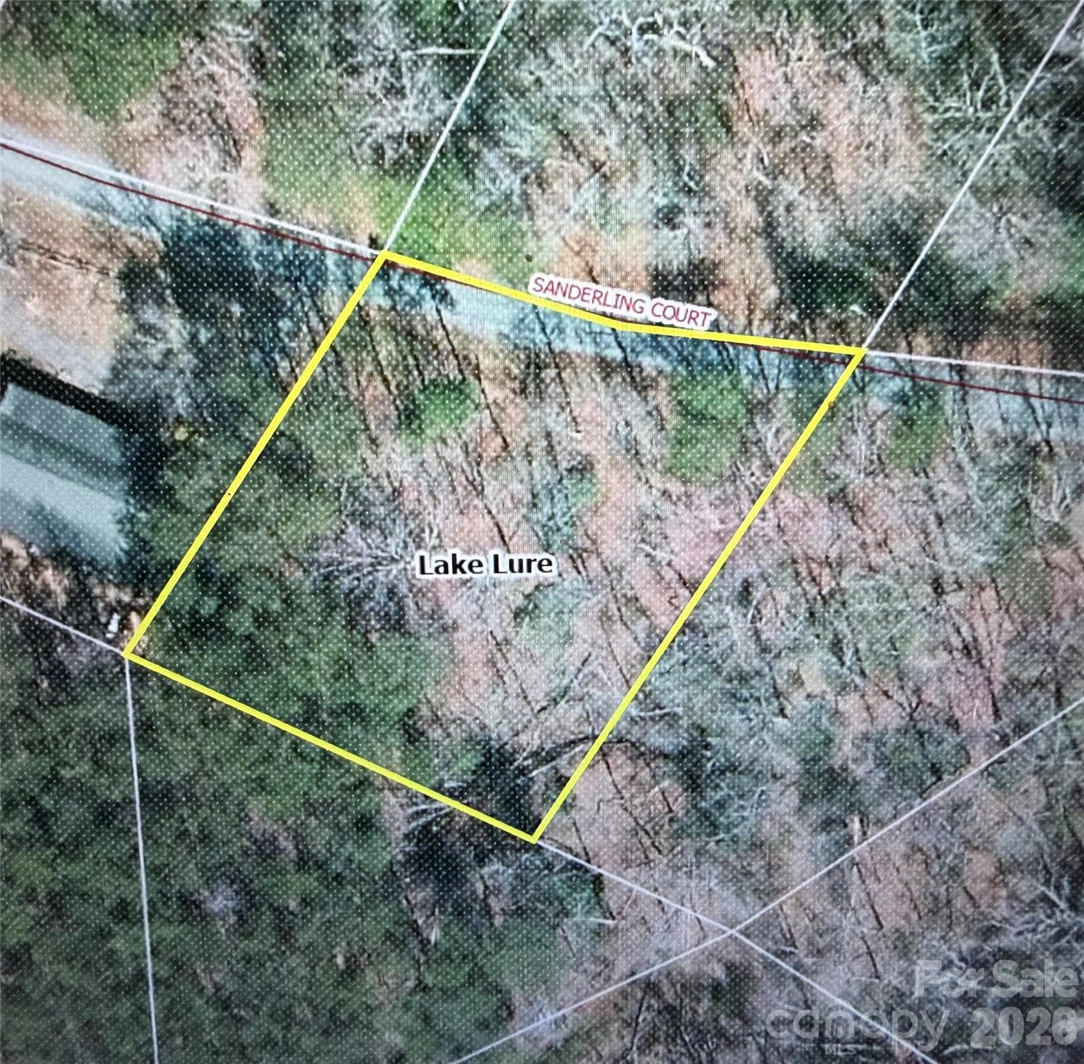 Lot at Lake Lure, photo 3 of 16