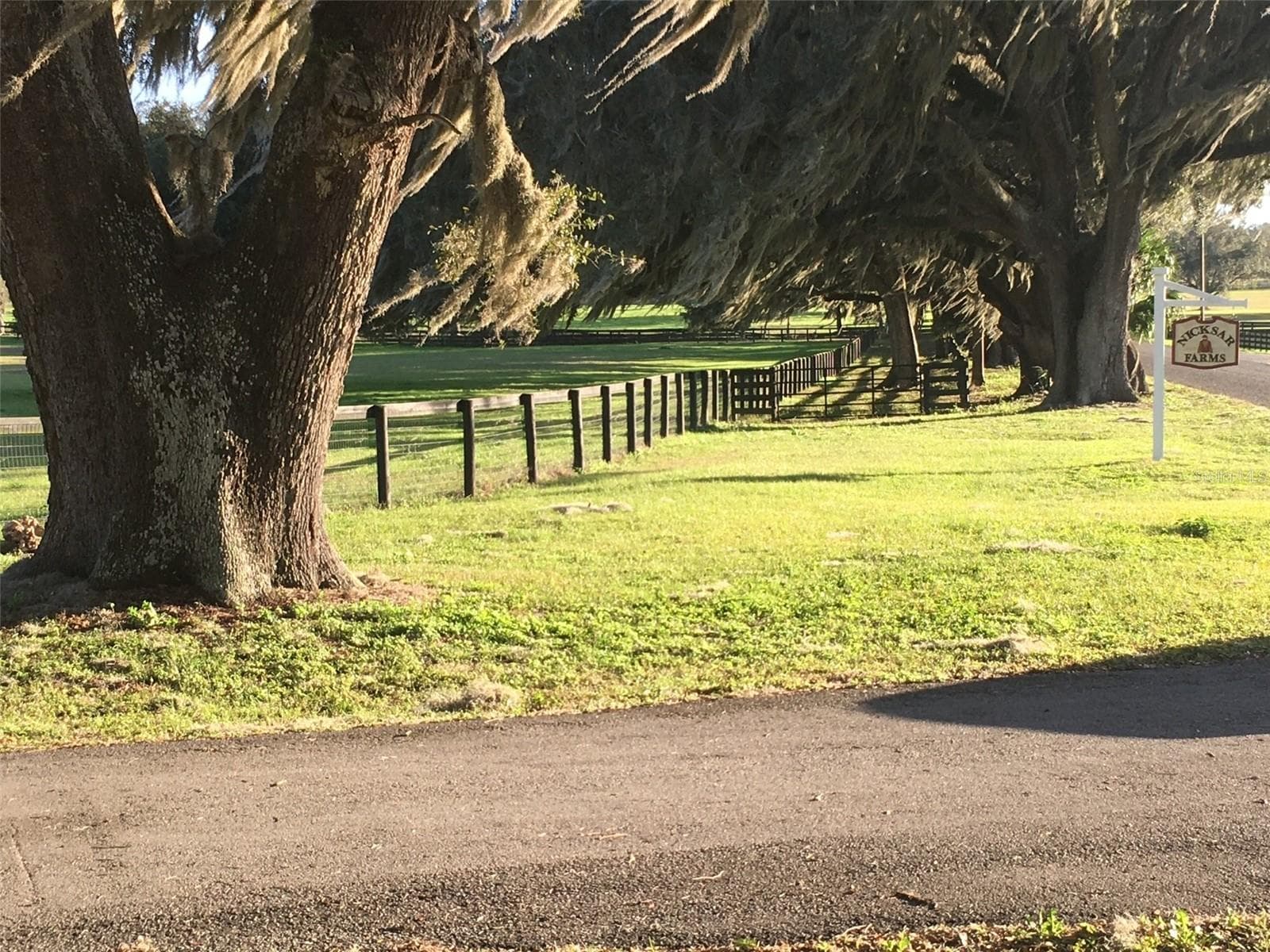 Farm at 9549 NW 80TH AVE, OCALA, photo 7 of 65