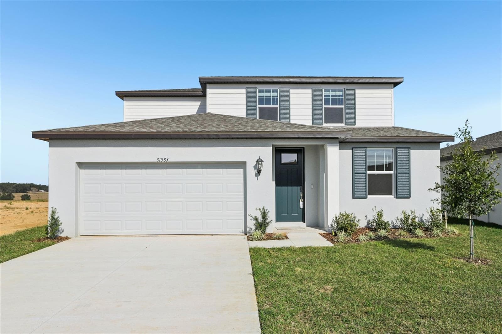 31583 WILD GRAPE LN