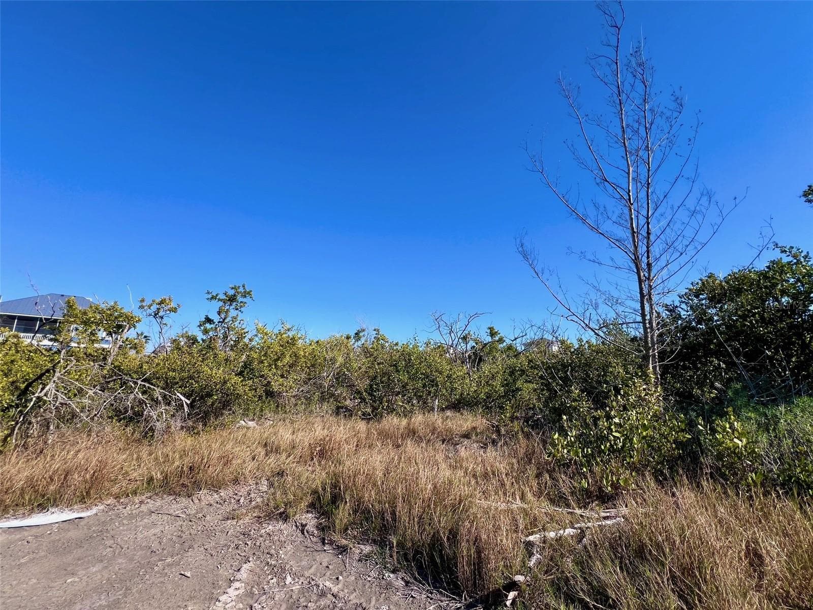 Land at 9574 BUCCANEER TRL, PLACIDA, photo 4 of 15