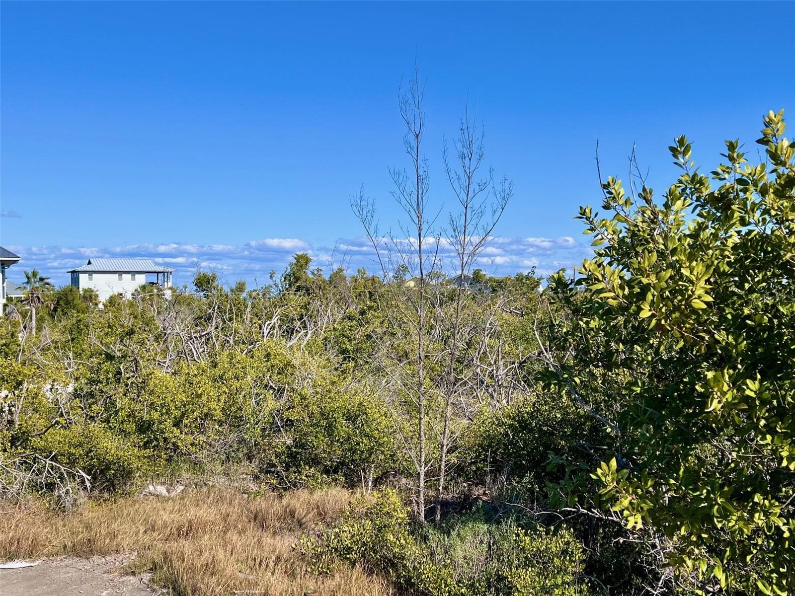 Land at 9574 BUCCANEER TRL, PLACIDA, photo 5 of 15