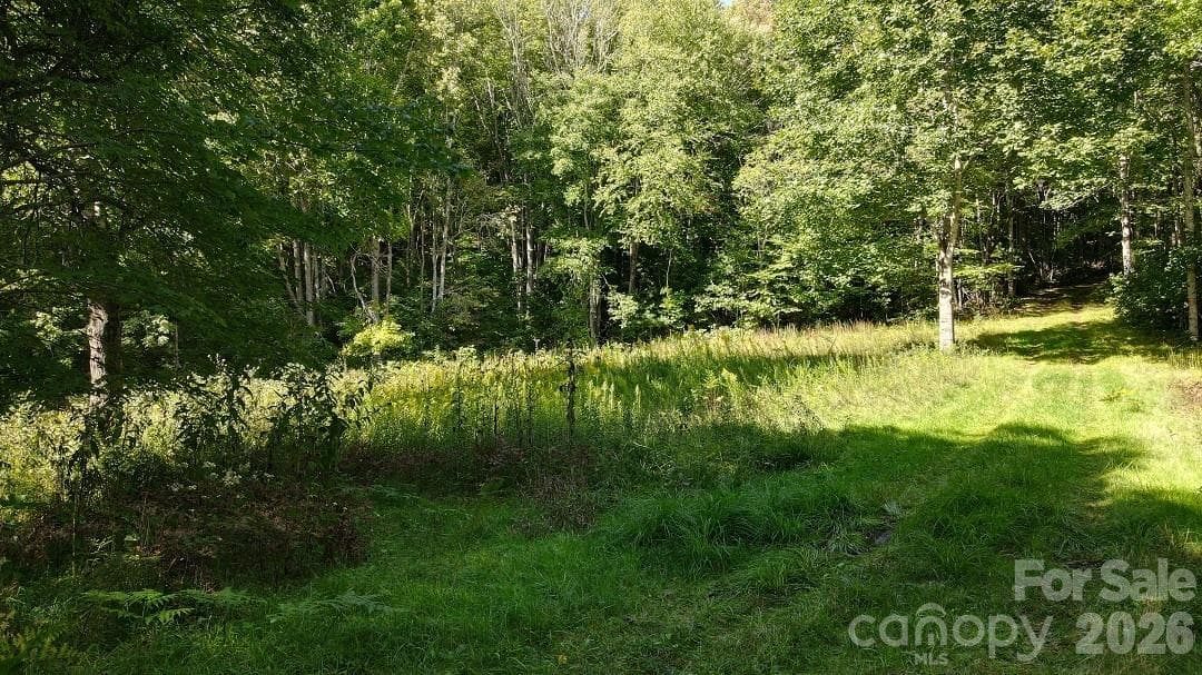 Single Family Residence at 745 Broom Road, Tuckasegee, photo 37 of 43