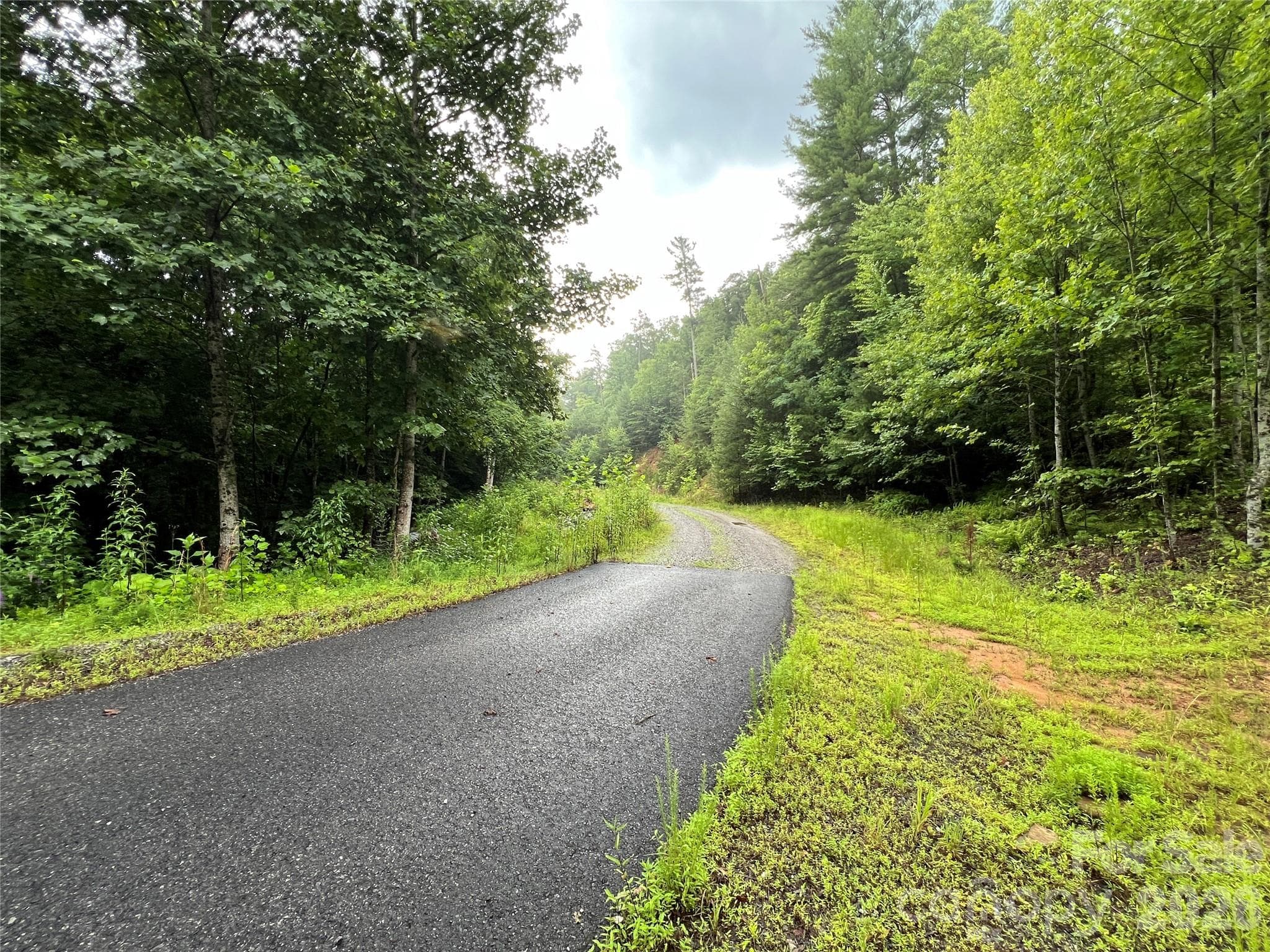 Access Road goes from paved to gravel - TBD Staghorn Road, Purlear