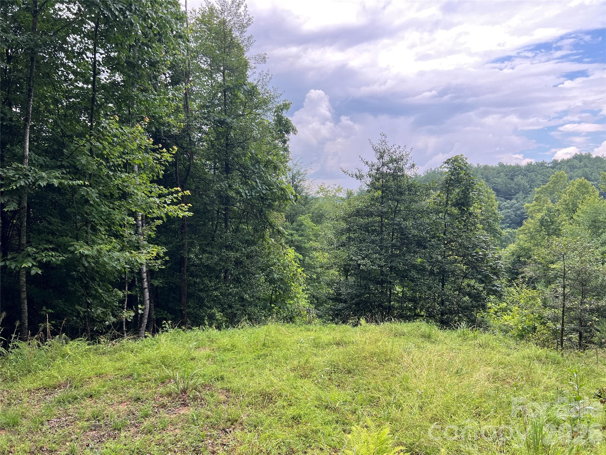 One of many potential building sites - TBD Staghorn Road, Purlear