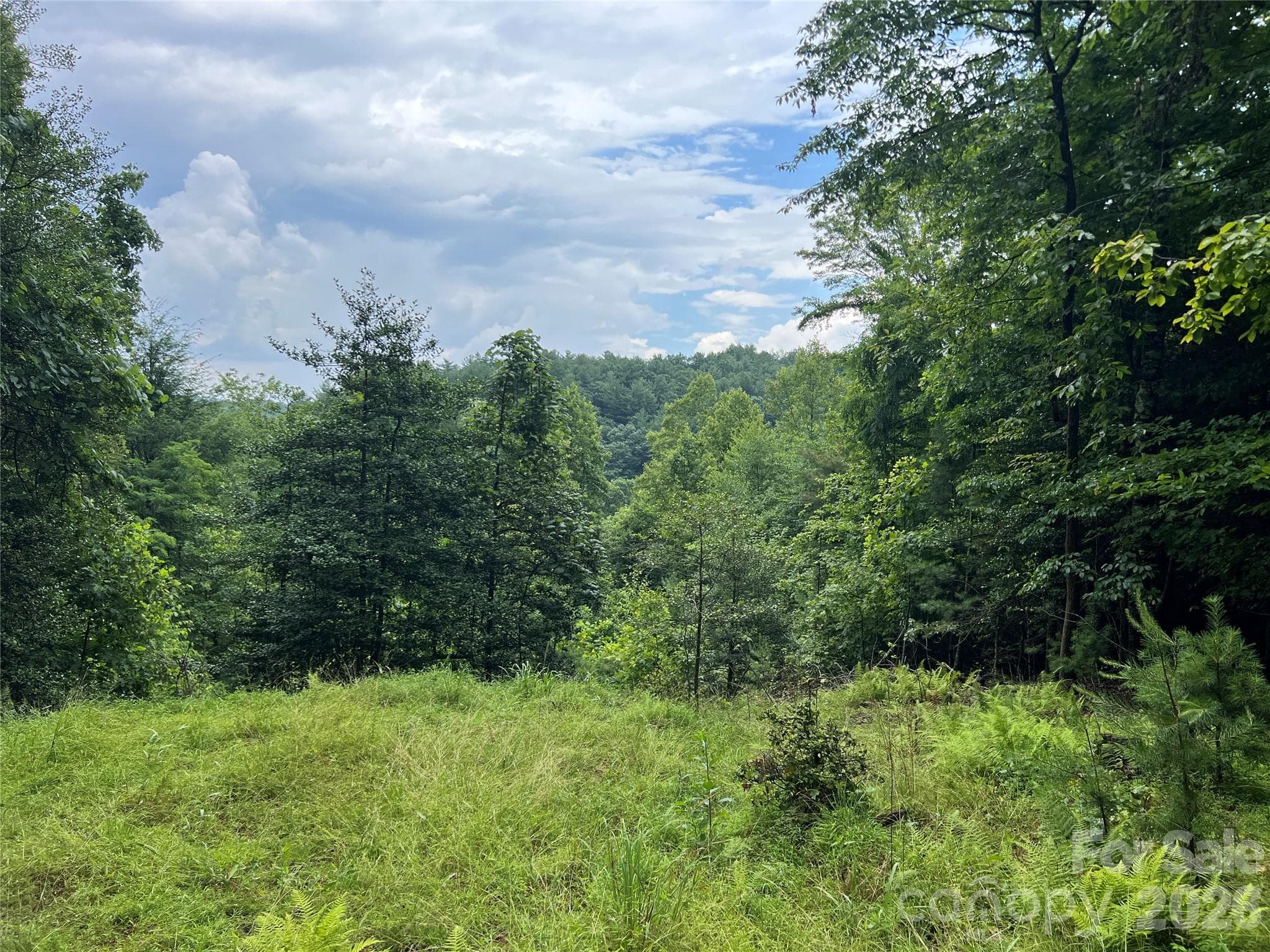 One of many potential building sites - TBD Staghorn Road, Purlear