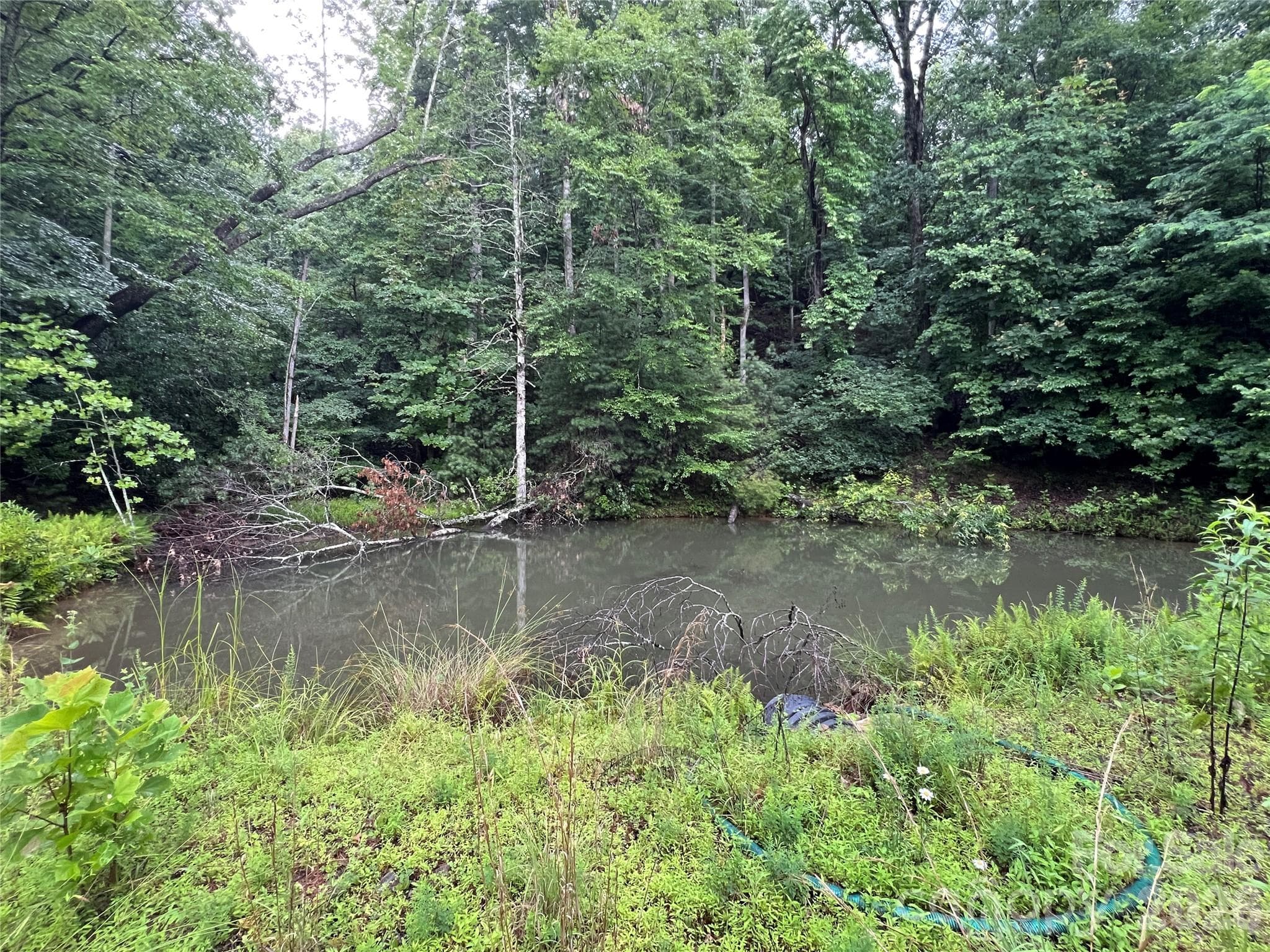 Spring-Fed Pond on property - TBD Staghorn Road, Purlear