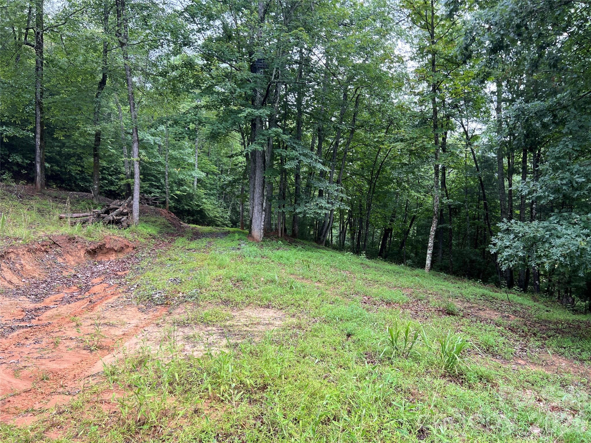 One of many potential building sites - TBD Staghorn Road, Purlear