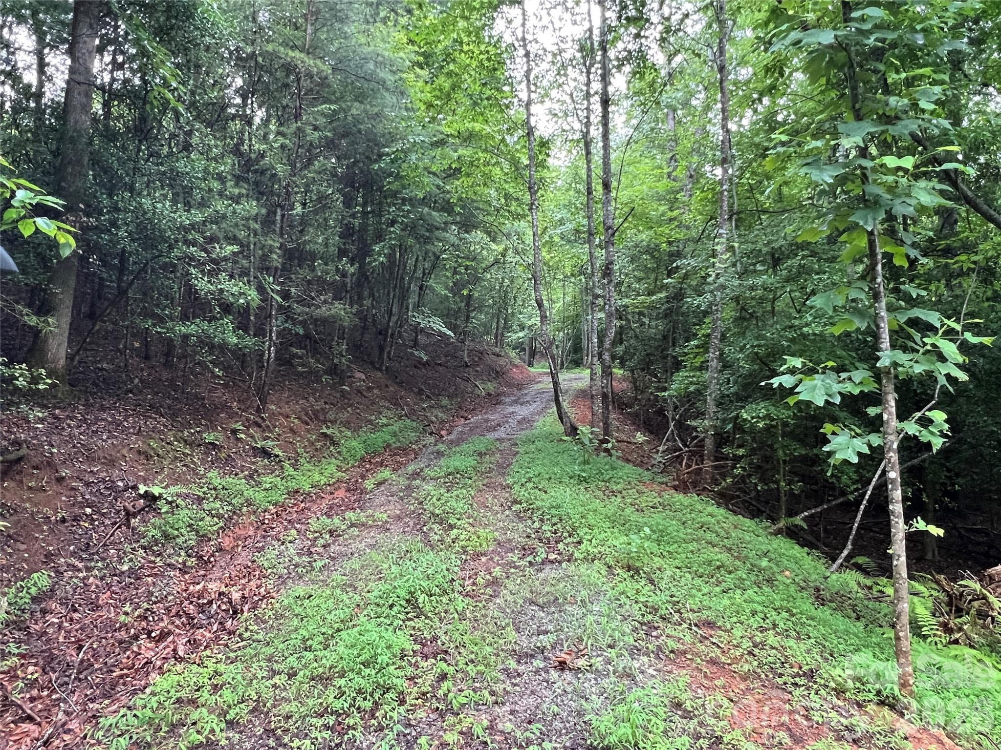 Lot at TBD Staghorn Road, Purlear, photo 13 of 48
