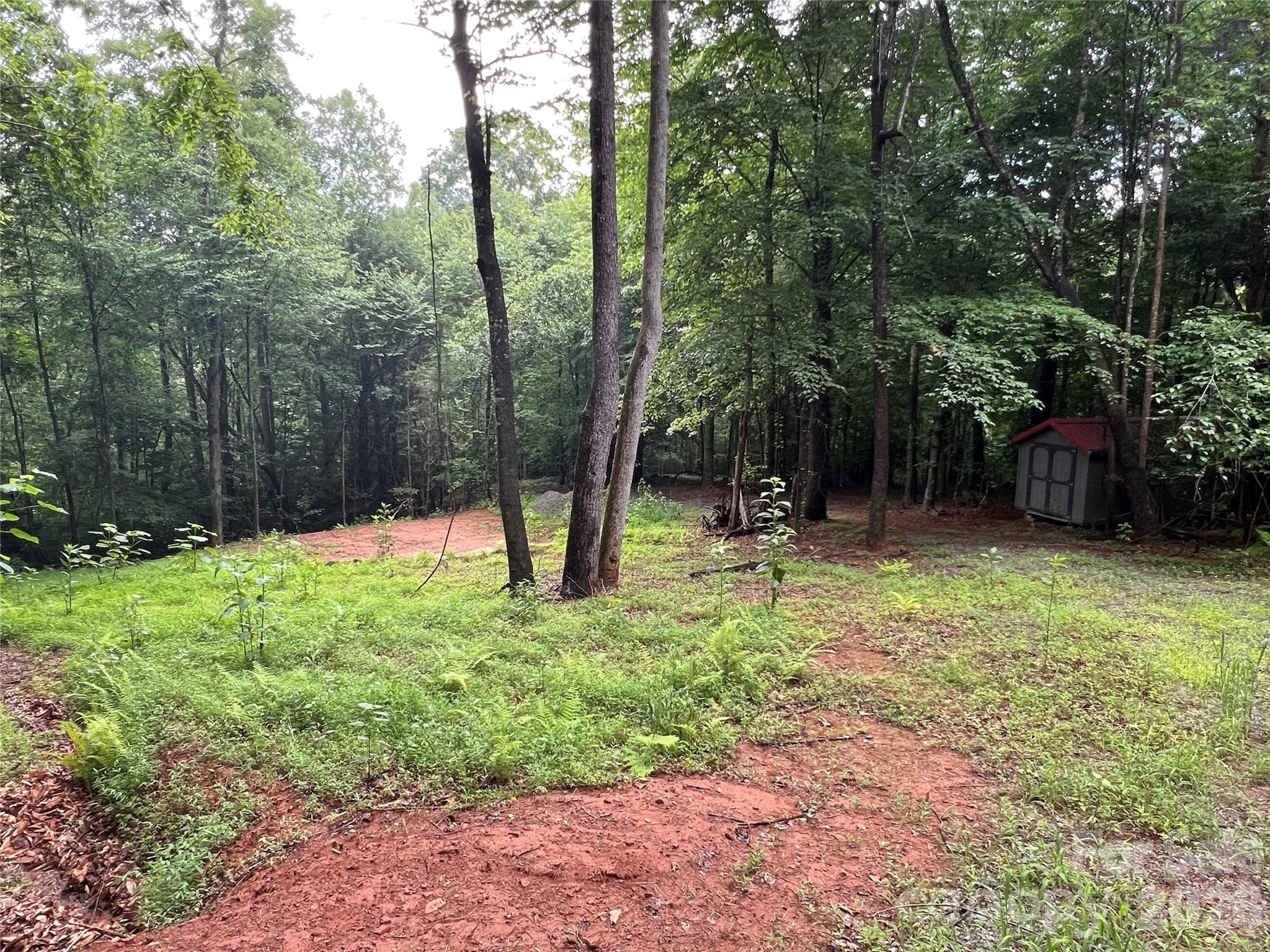 One of many potential building sites - TBD Staghorn Road, Purlear