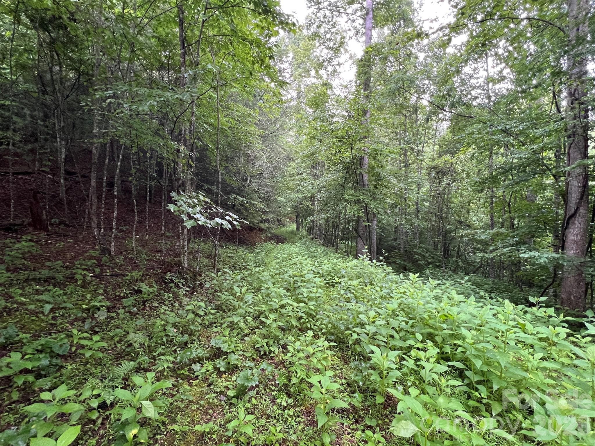 Lot at TBD Staghorn Road, Purlear, photo 19 of 48