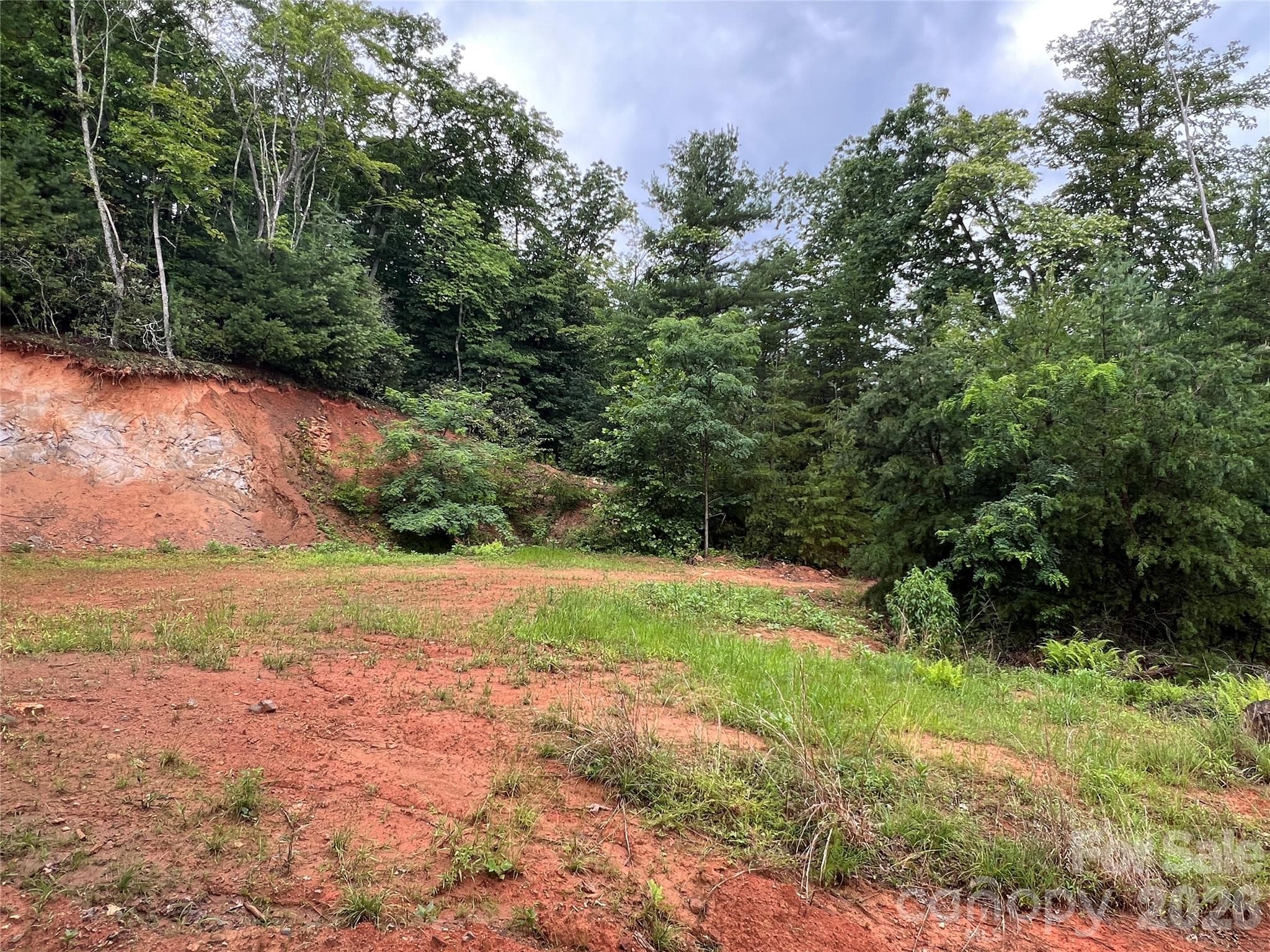 One of many potential building sites - TBD Staghorn Road, Purlear