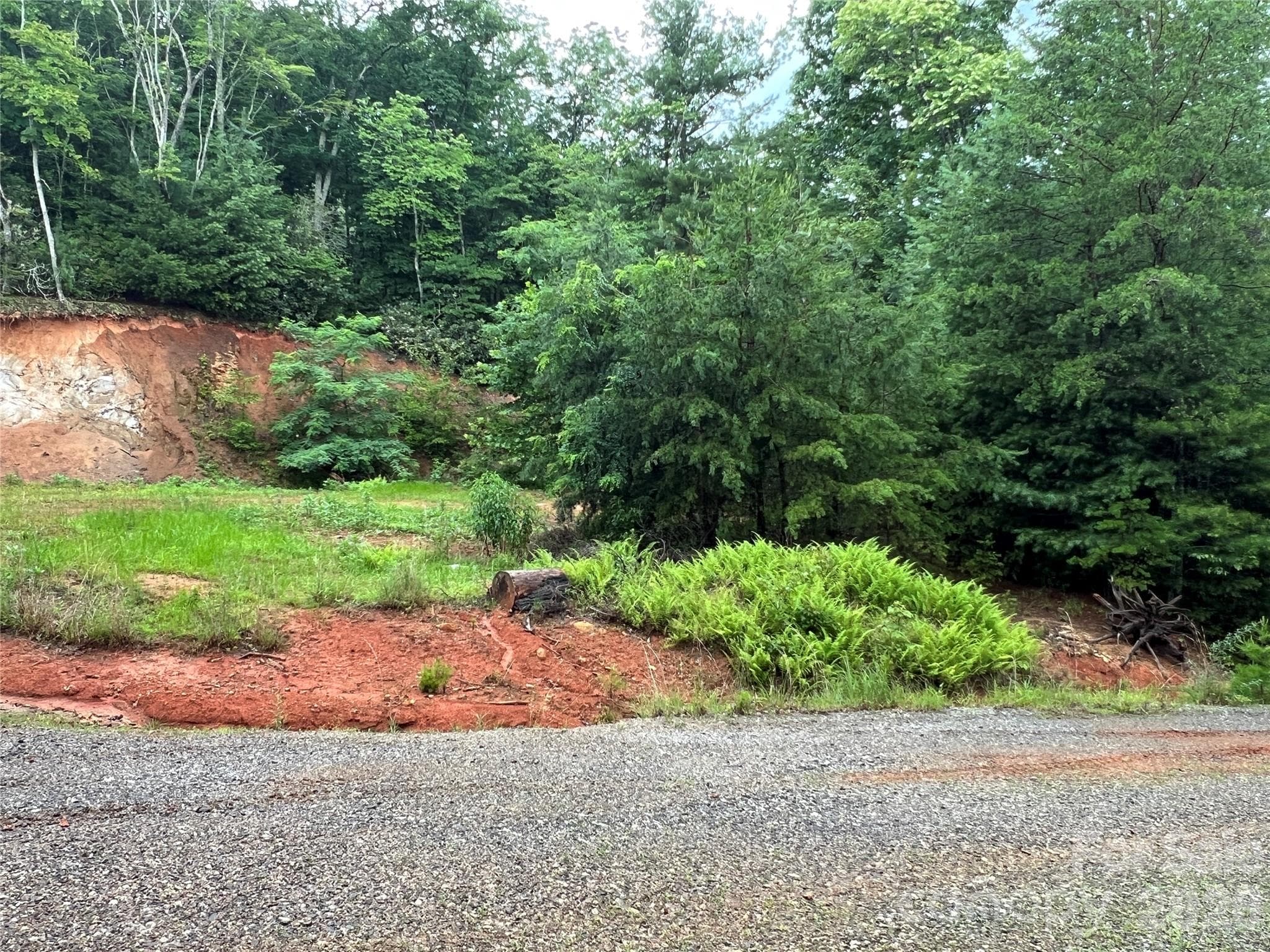 Lot at TBD Staghorn Road, Purlear, photo 25 of 48