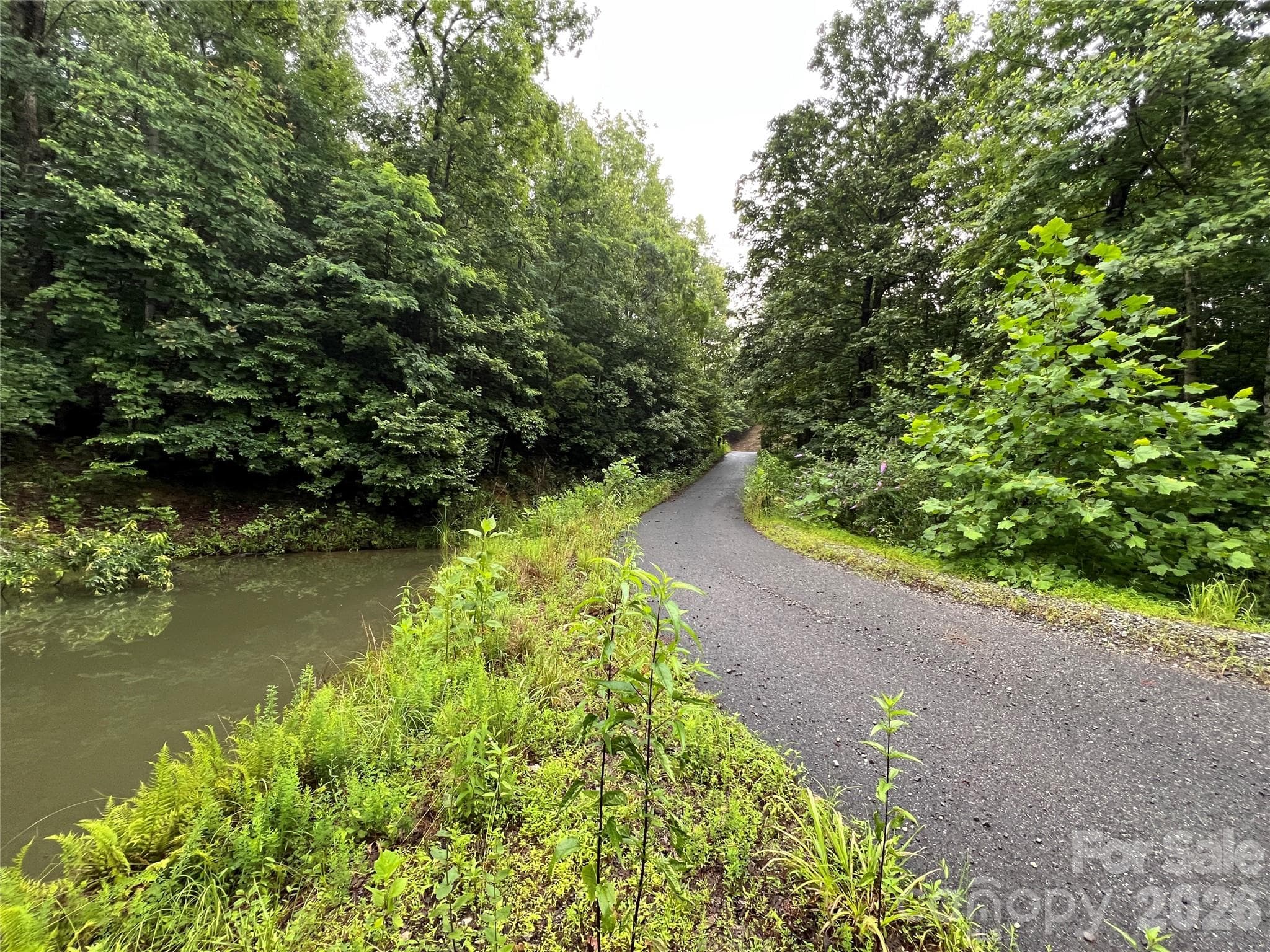 Spring-Fed Pond and Paved access Road - TBD Staghorn Road, Purlear