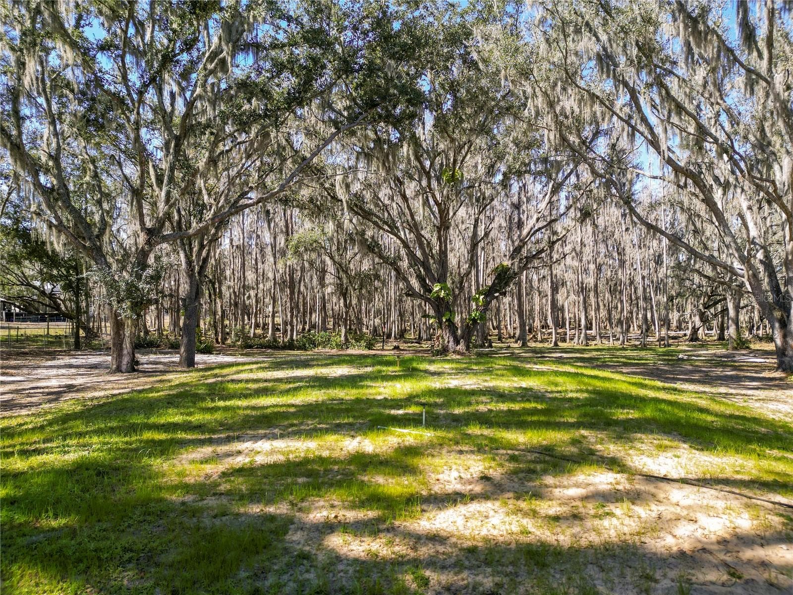 Manufactured Home at 7405 SHOUPE RD, PLANT CITY, photo 63 of 63