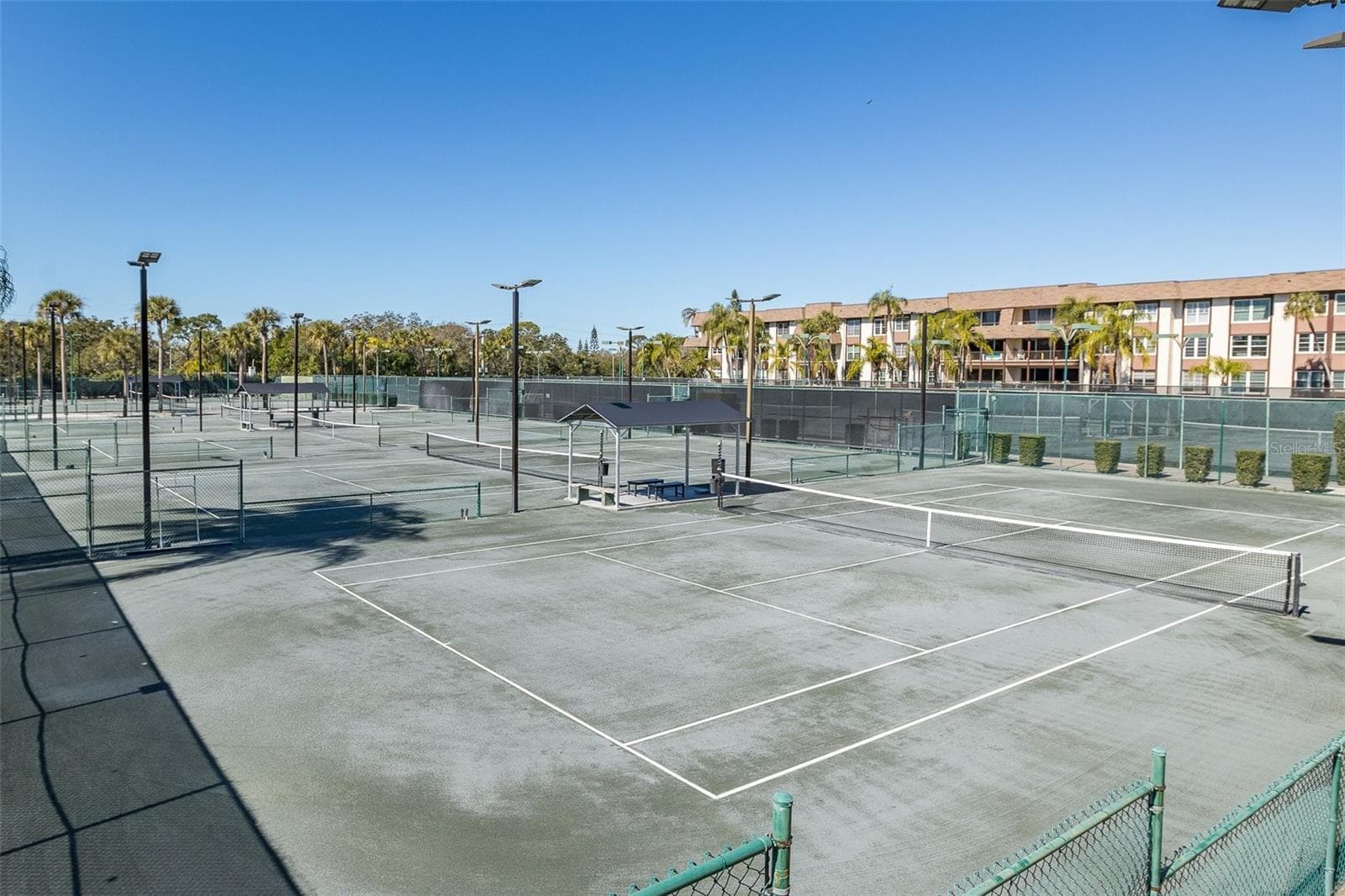 Opt membership- Countryside Club Tennis - 2721 NORTHRIDGE DR E, CLEARWATER