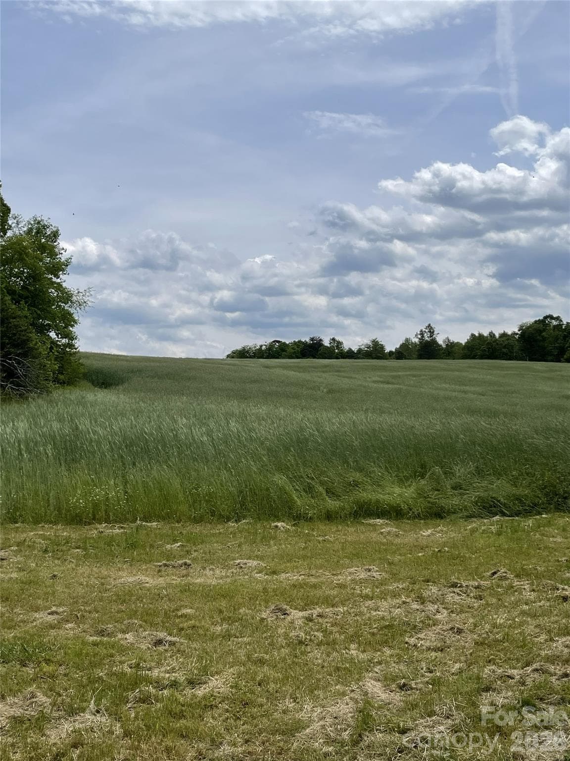 Acreage at 1444 Derby Drive, Shelby, photo 4 of 6