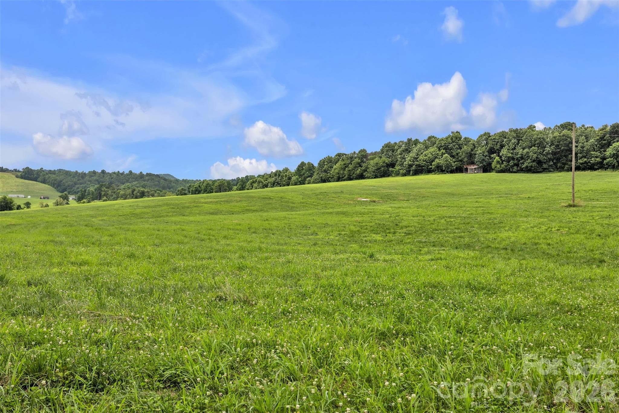Acreage at 0 Pike Road, Moravian Falls, photo 2 of 19