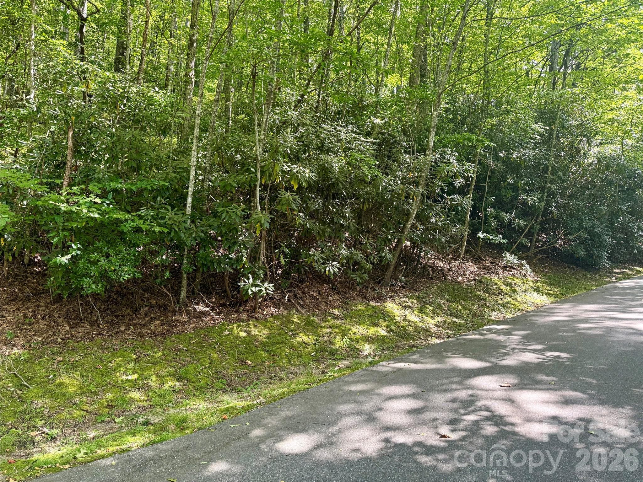 Lot at 115 Black Oak Drive, Sapphire, photo 2 of 6