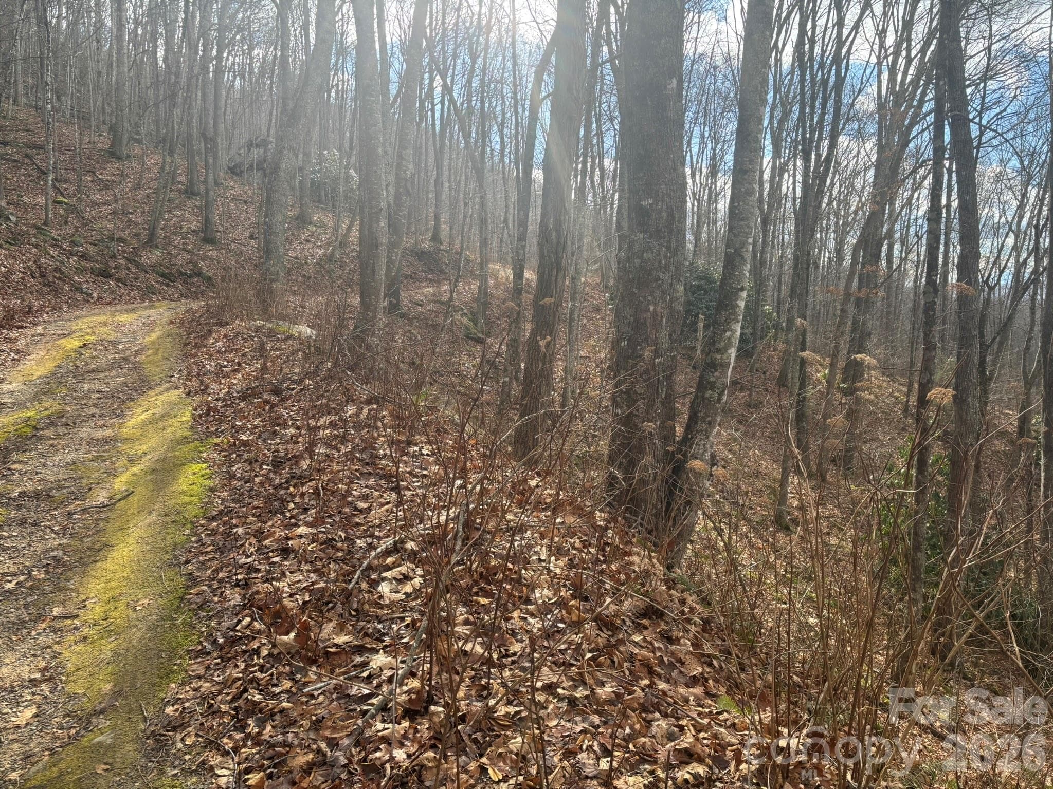 Moderately sloping. - Clyde