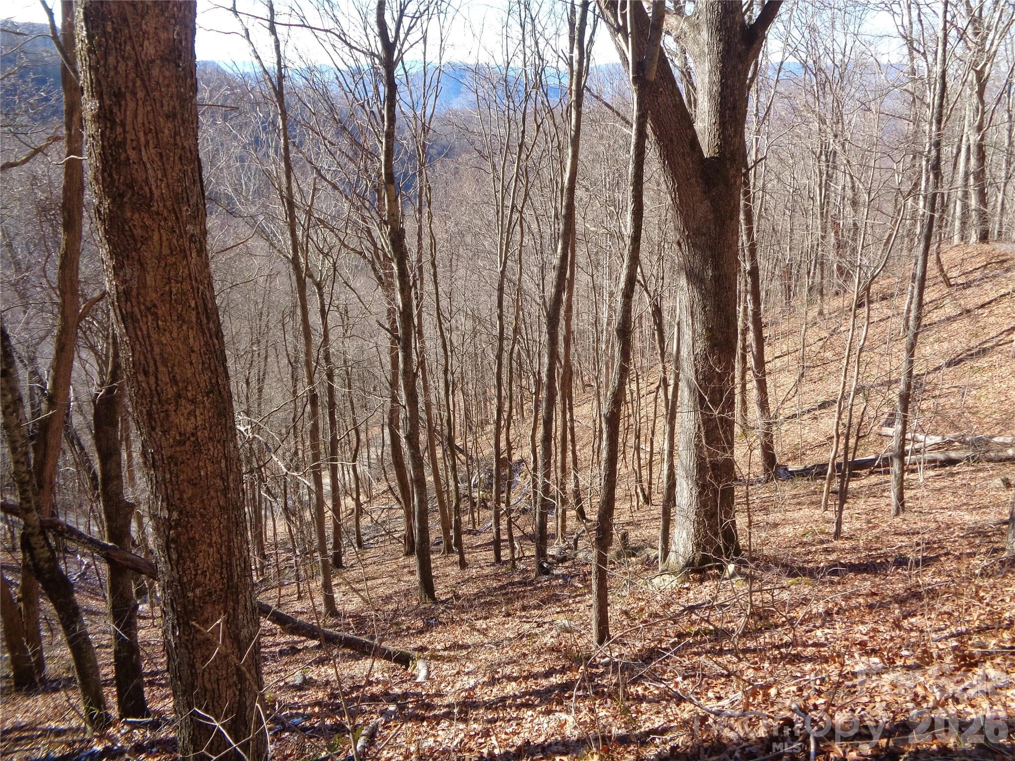 Lot at Clyde, photo 2 of 12
