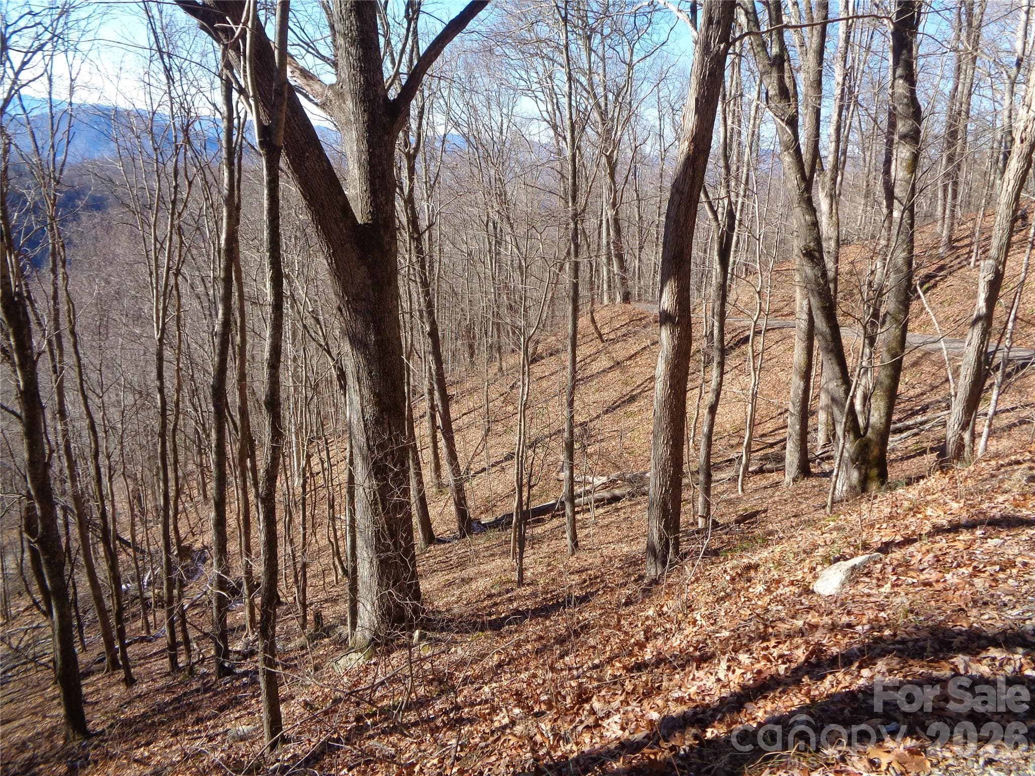 Lot at 00 Listening Cove, Clyde, photo 3 of 12