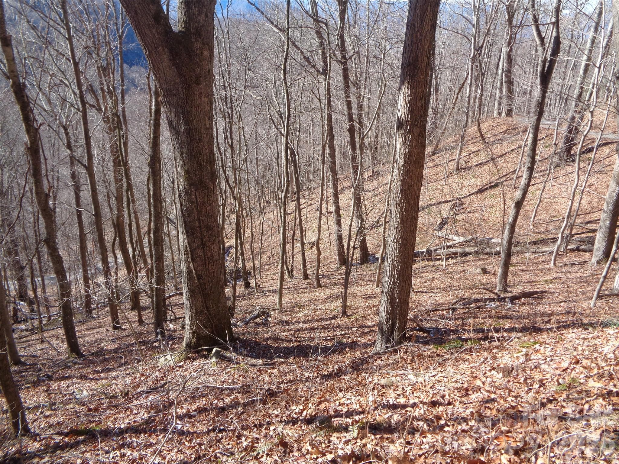 Lot at 00 Listening Cove, Clyde, photo 4 of 12