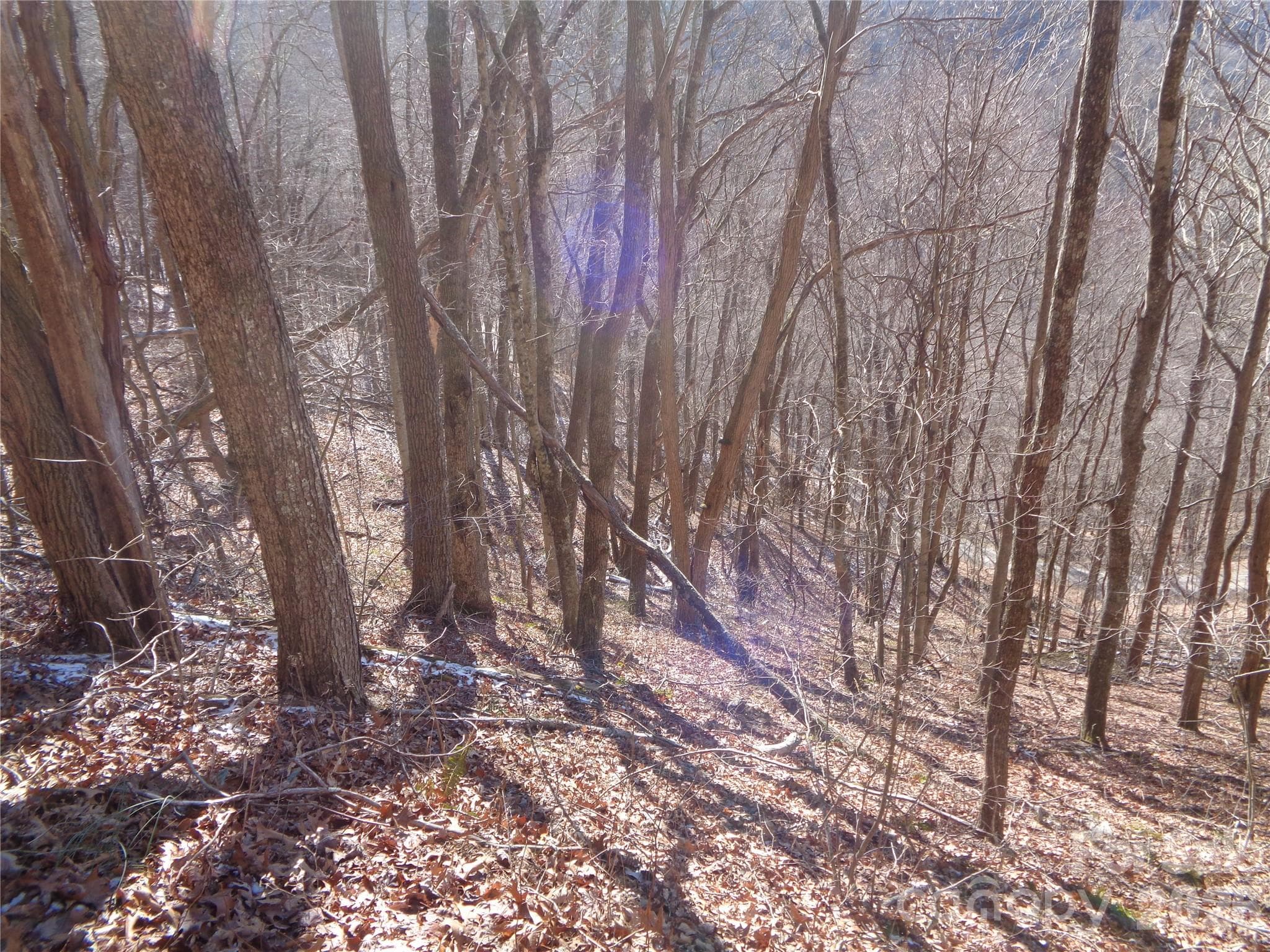 Lot at Clyde, photo 5 of 12