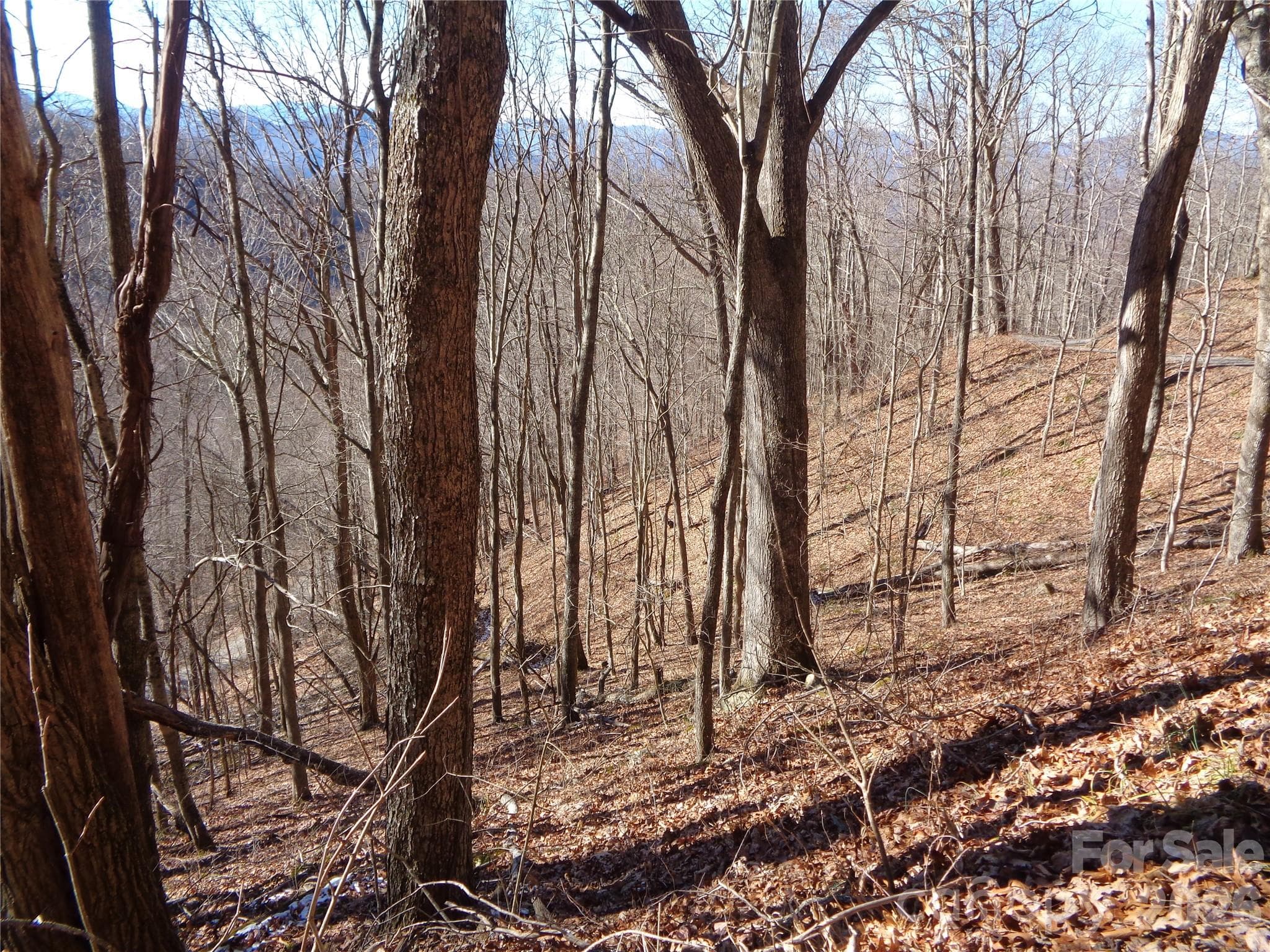 Lot at Clyde, photo 6 of 12