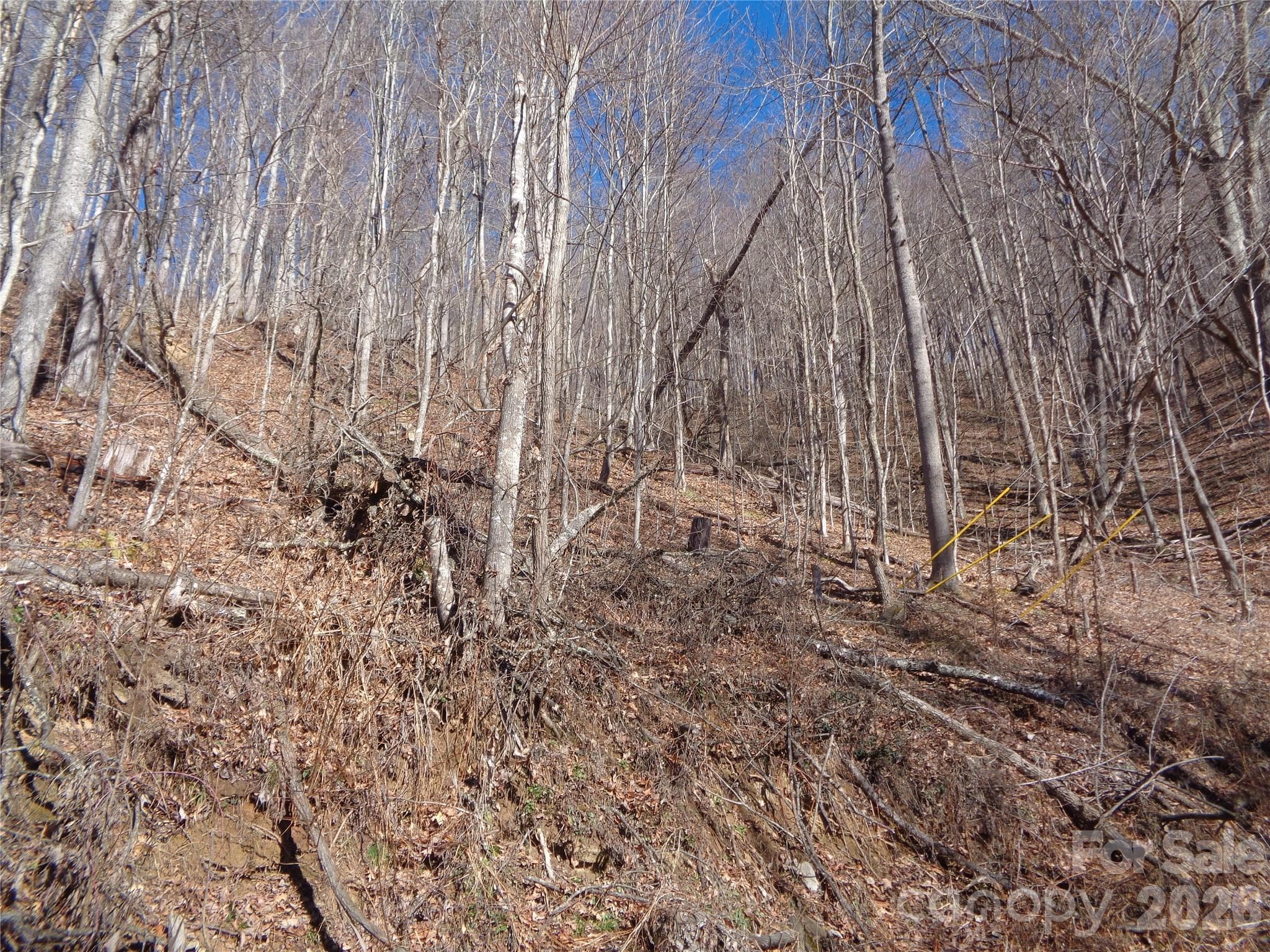 Lot at 00 Listening Cove, Clyde, photo 7 of 12