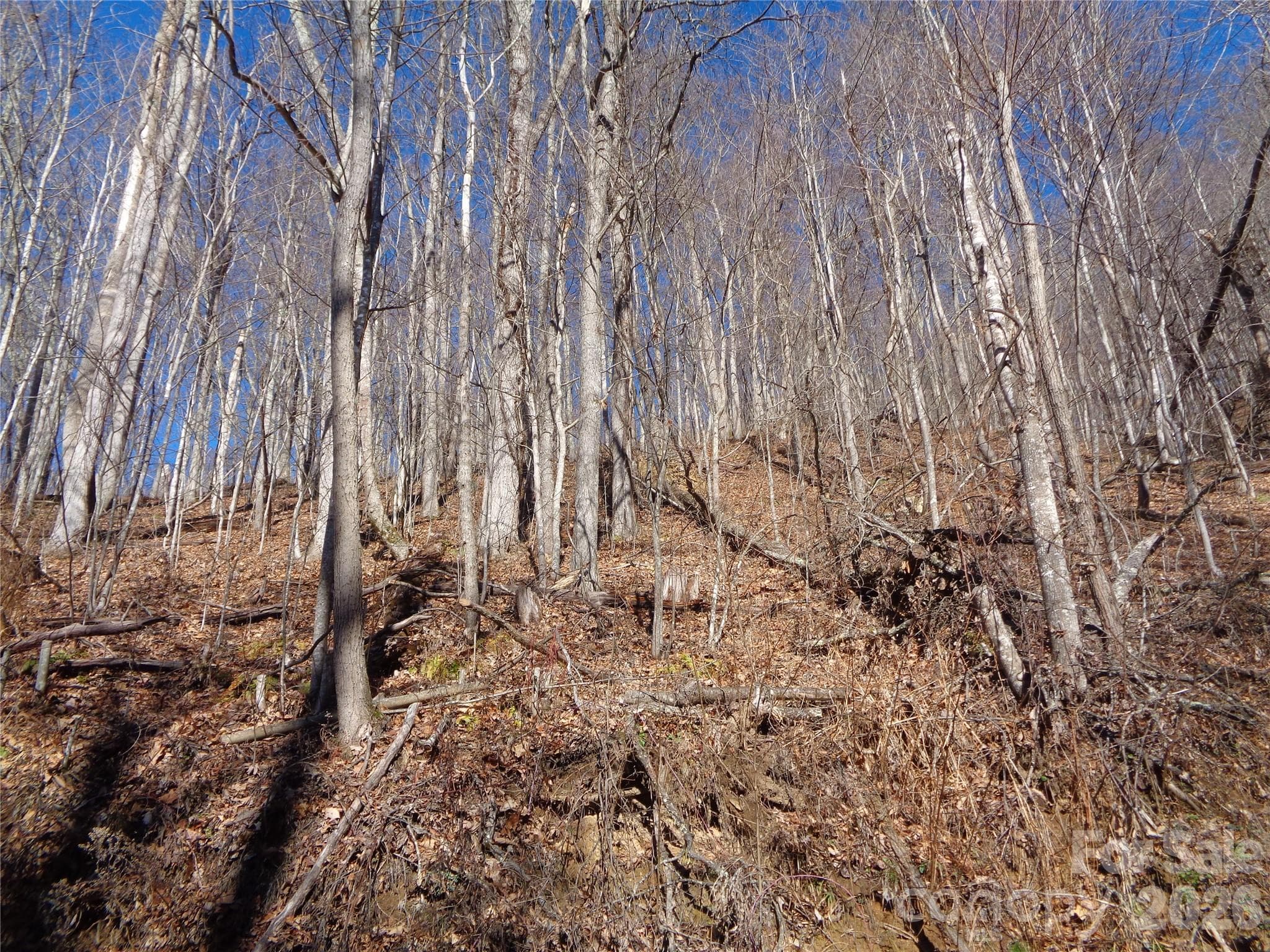 Lot at 00 Listening Cove, Clyde, photo 8 of 12