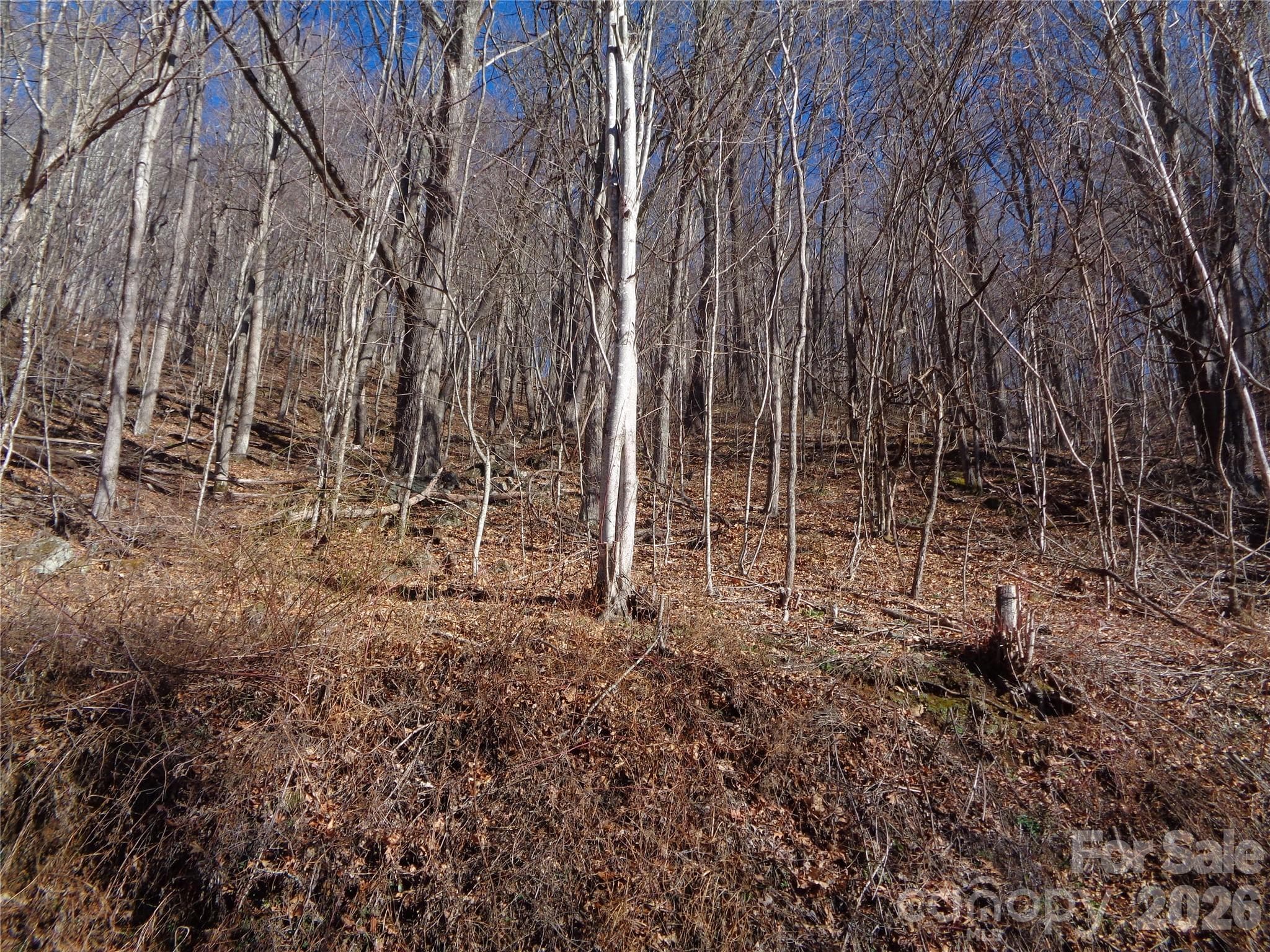 Lot at 00 Listening Cove, Clyde, photo 11 of 12