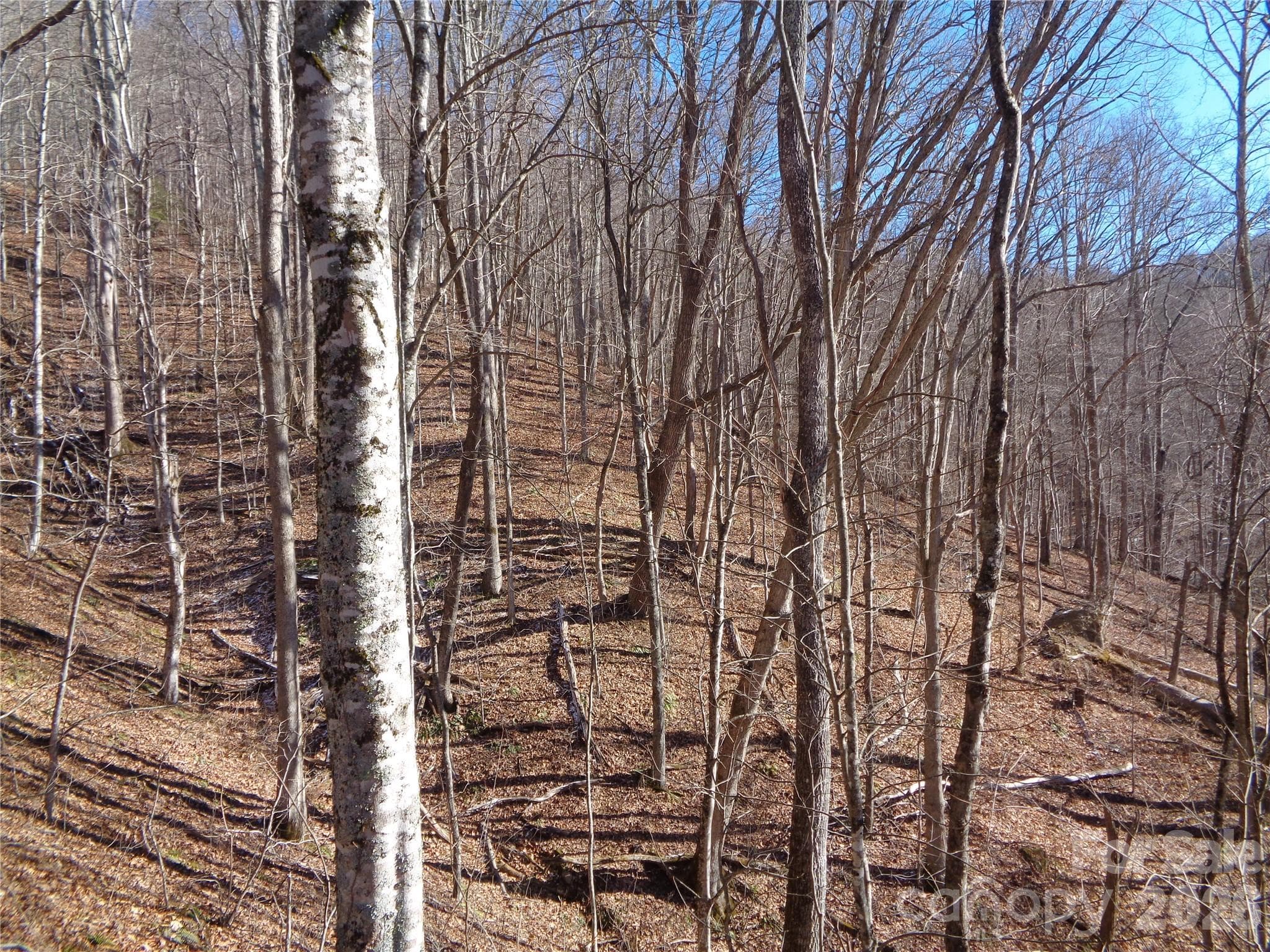 Lot at Clyde, photo 3 of 14