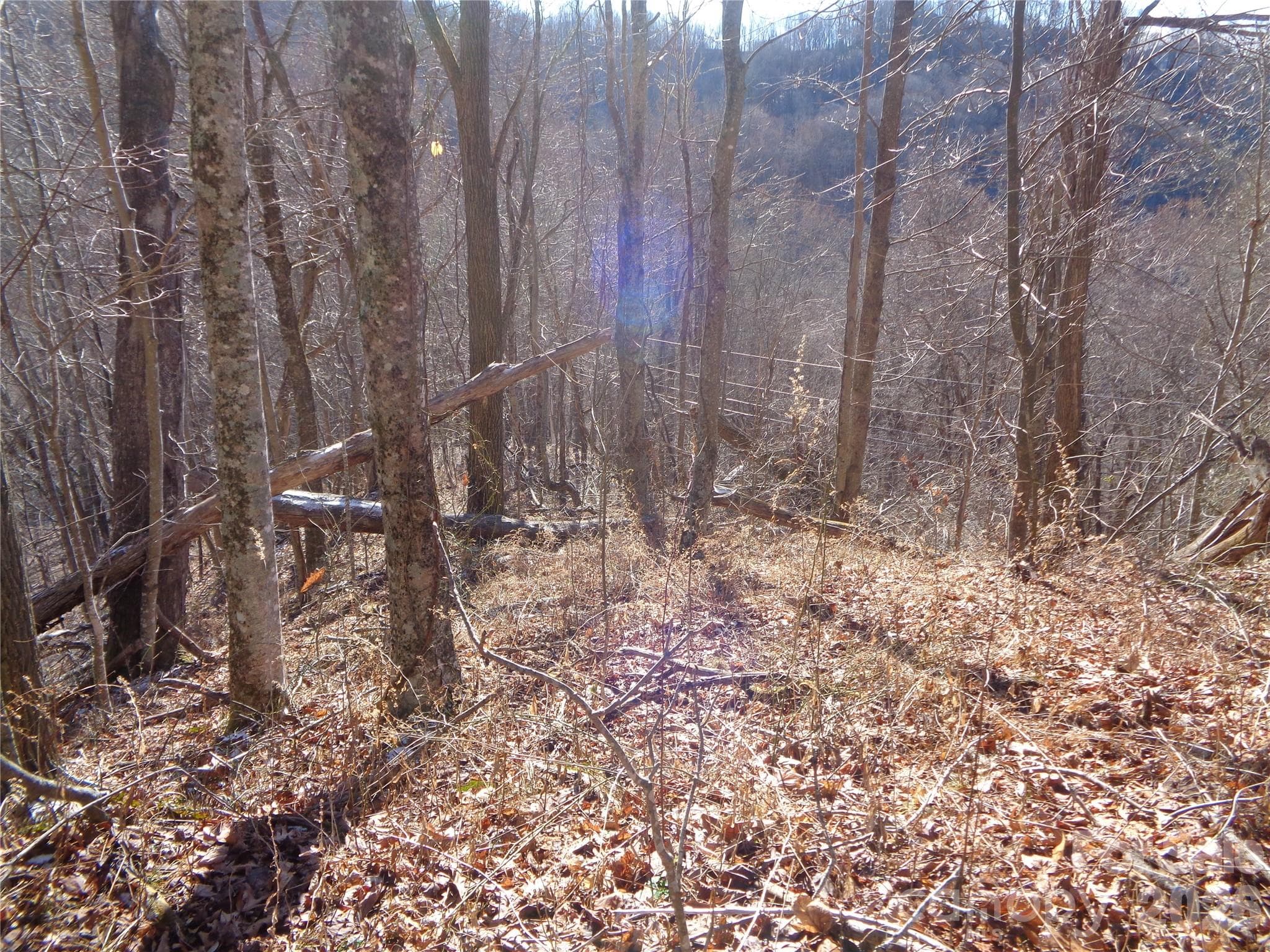 Lot at Clyde, photo 11 of 14