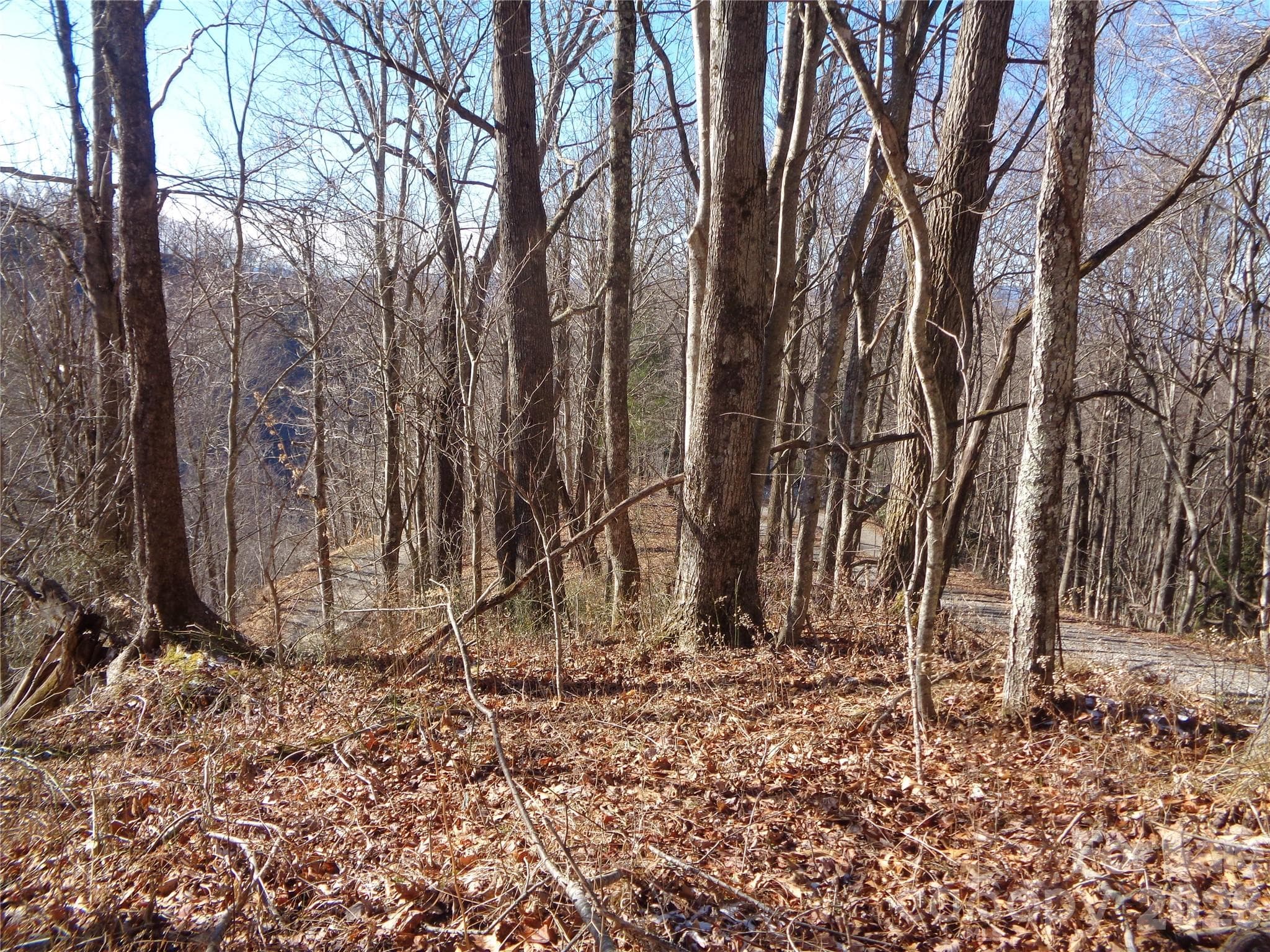 Lot at Clyde, photo 12 of 14