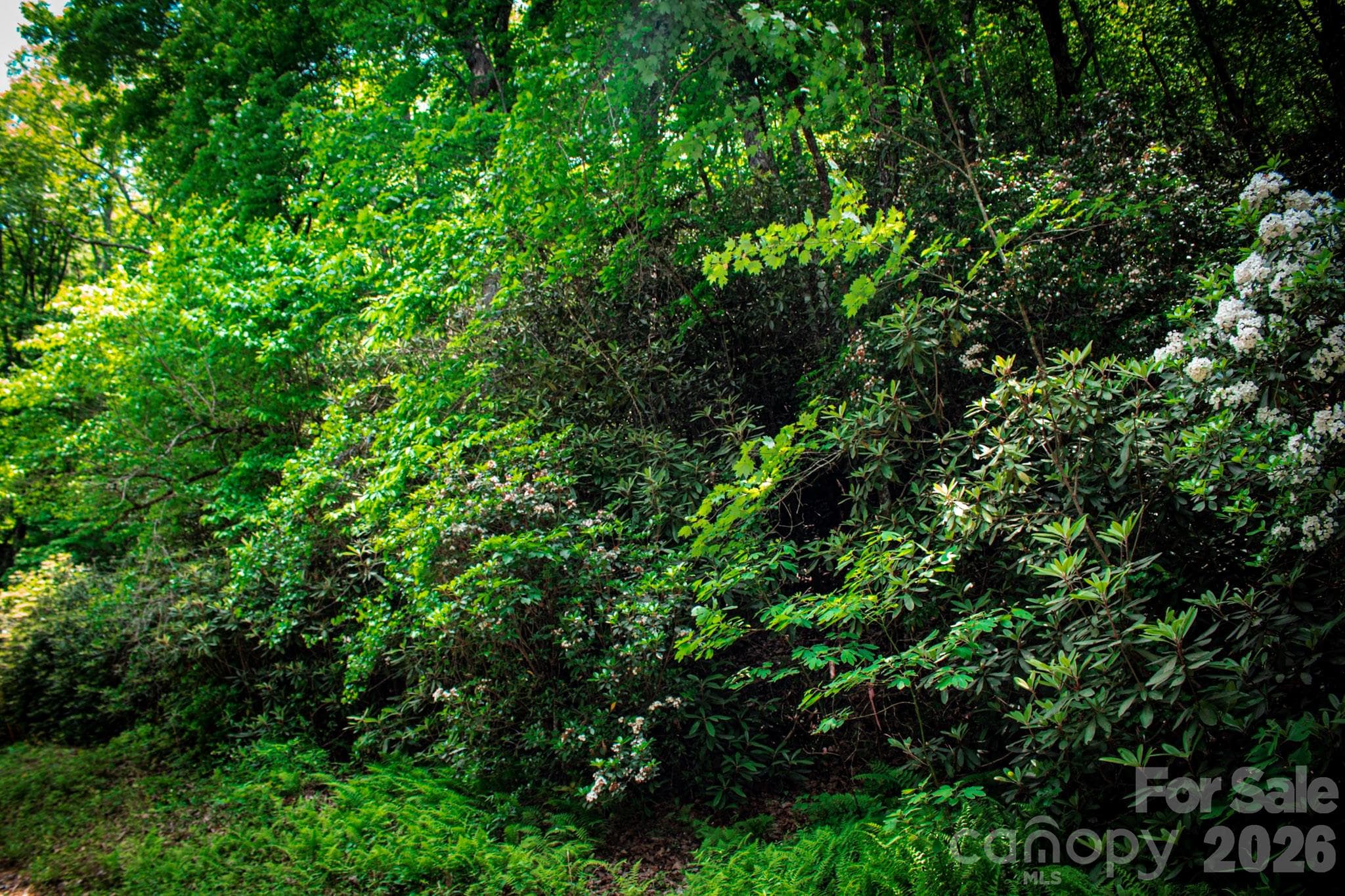 Lot at Brevard, photo 4 of 4