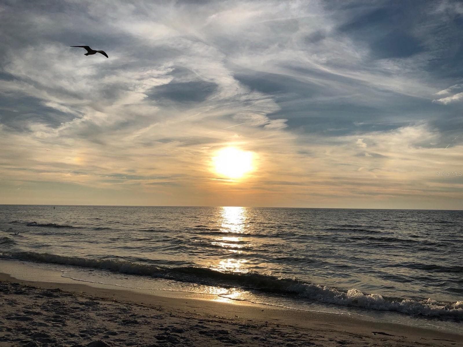 Area Beaches - 100 BLUFF VIEW DR #317A, BELLEAIR BLUFFS