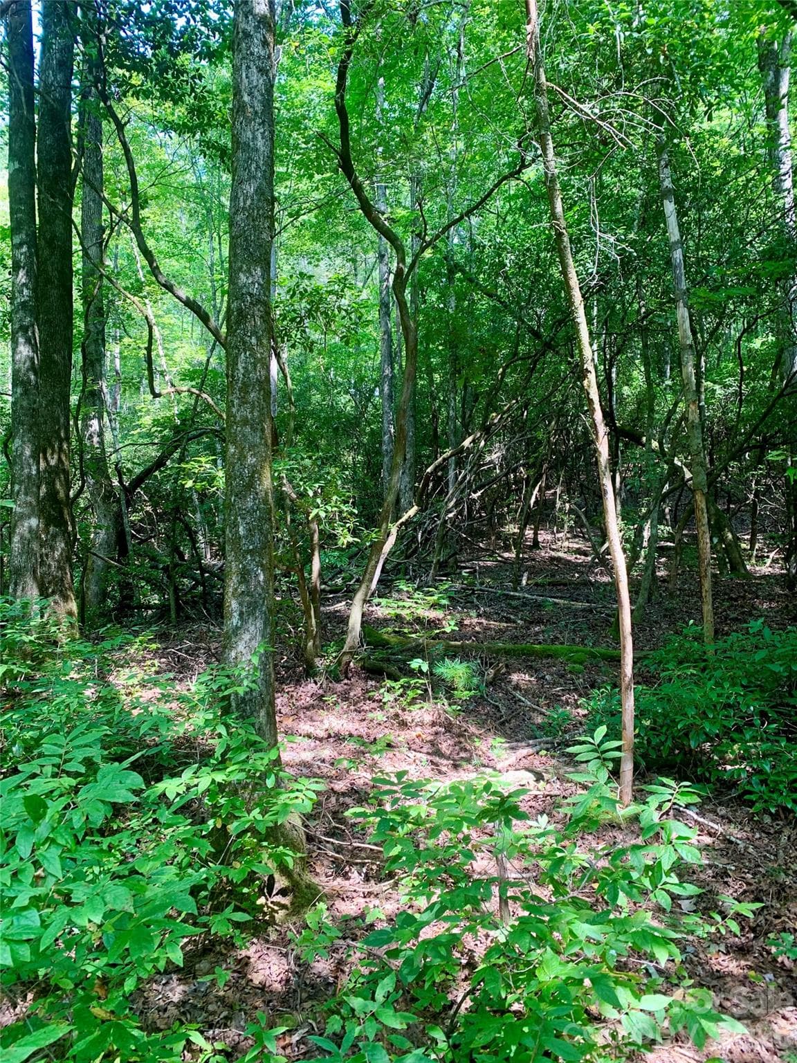 Lot at Brevard, photo 2 of 4