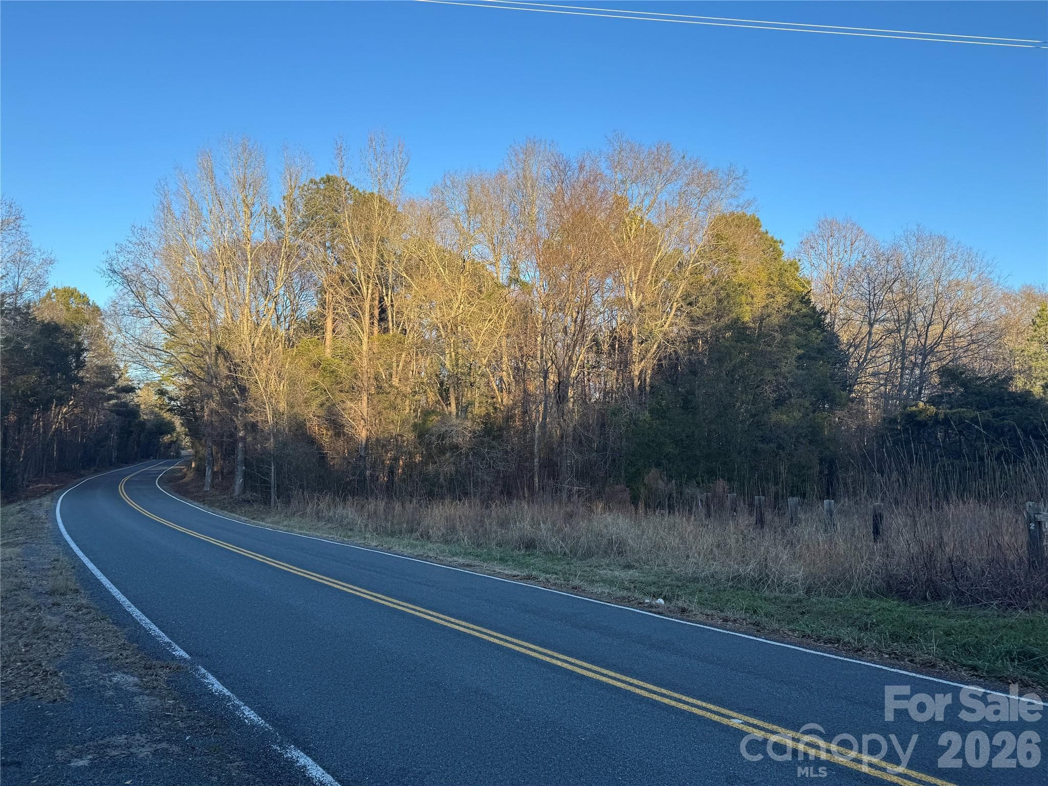 View looking north from road - 4252-1 Reid Road, Rock Hill