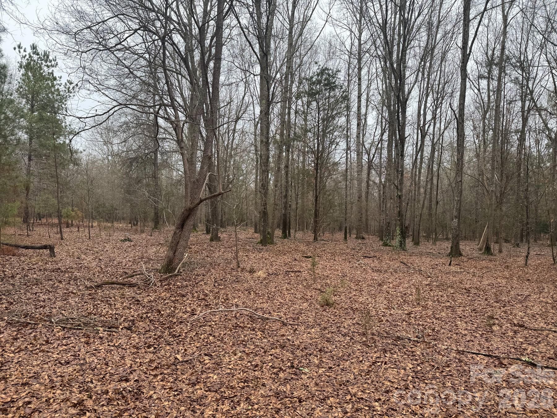 Example of Home site. - 4252-1 Reid Road, Rock Hill