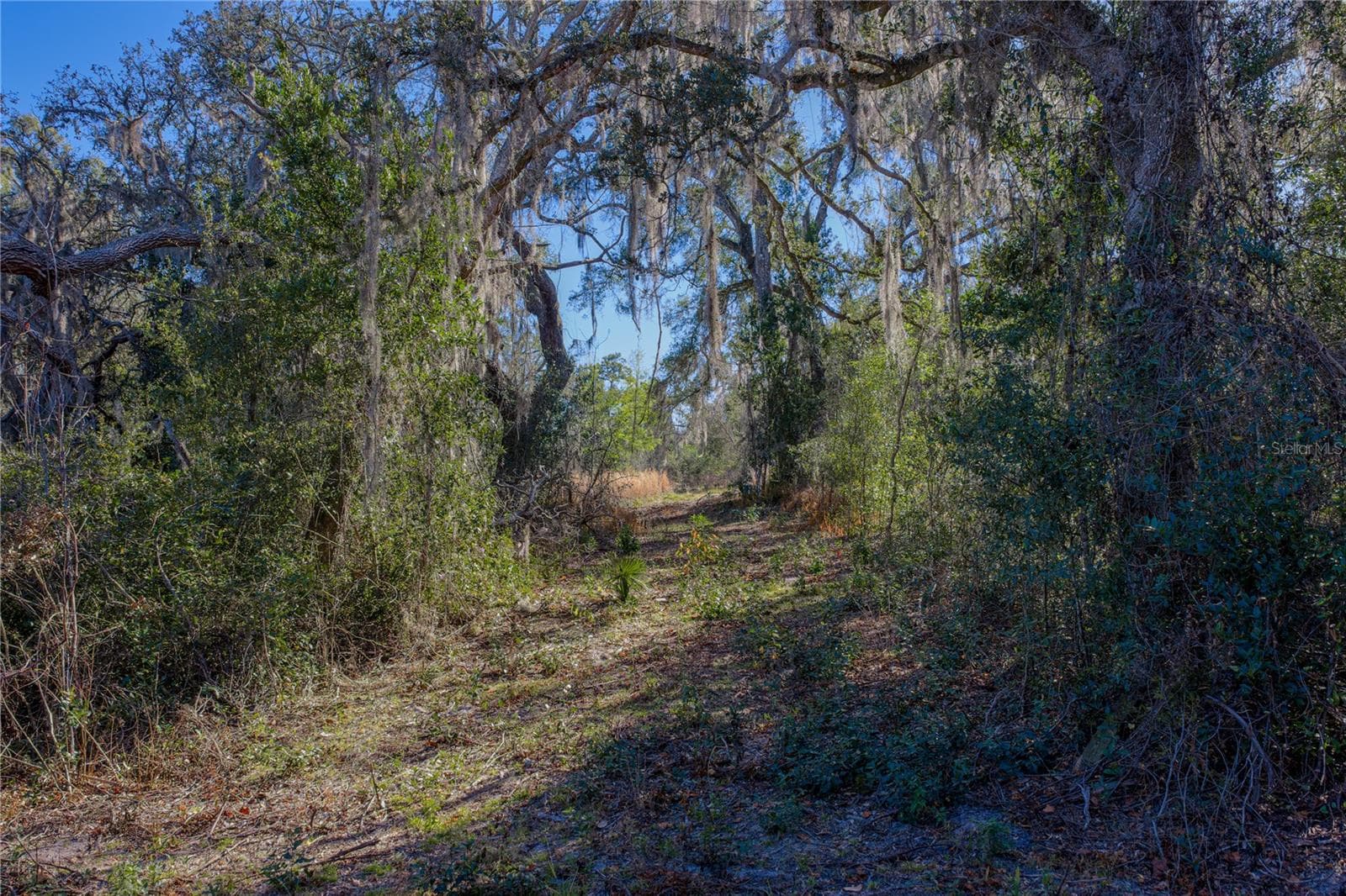 Land at 00 ROWNTREE DR, DADE CITY, photo 8 of 10