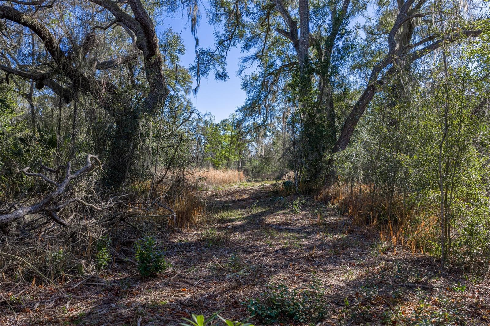 Land at 00 ROWNTREE DR, DADE CITY, photo 9 of 10