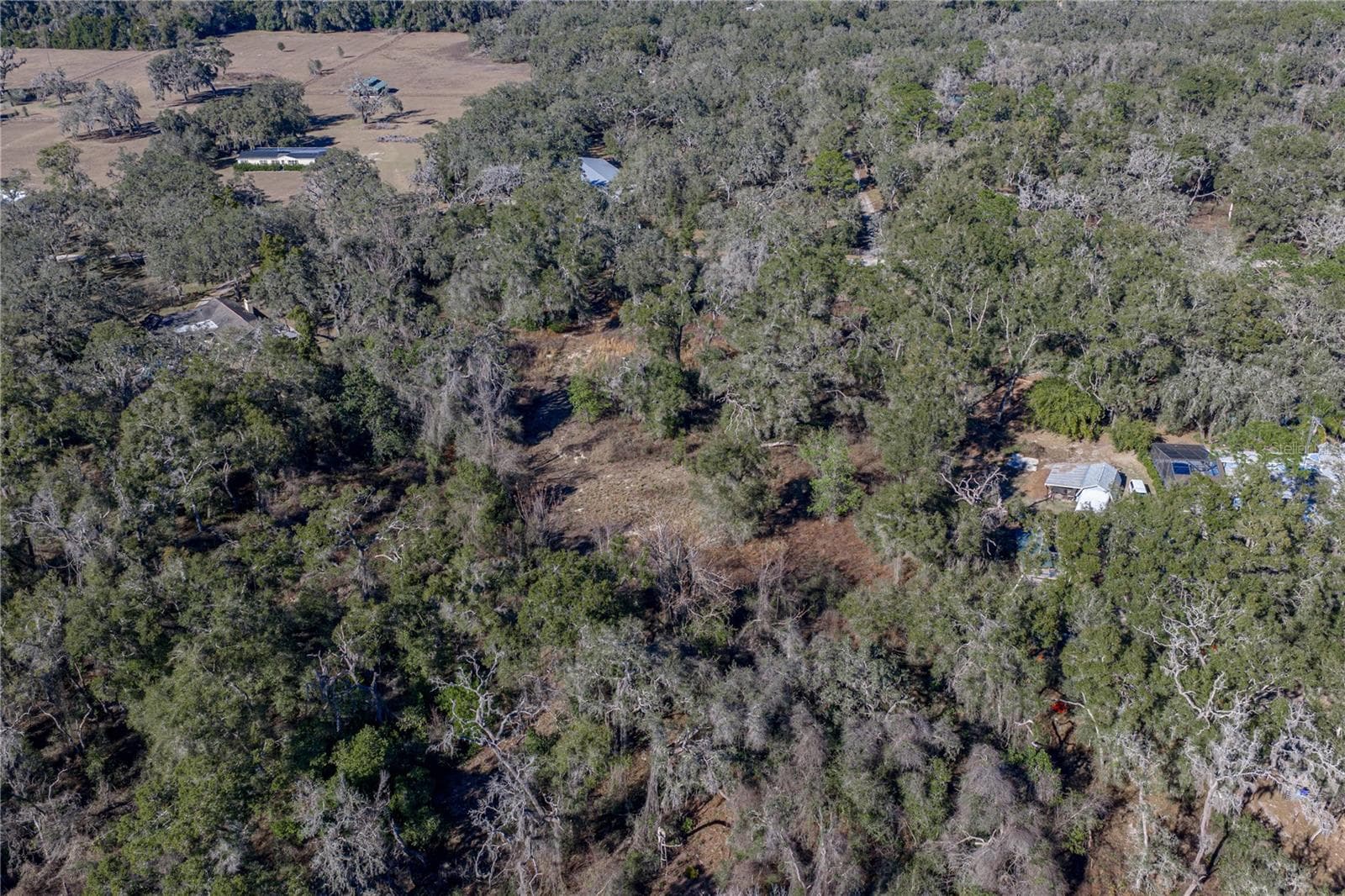 Land at 0 ROWNTREE DR, DADE CITY, photo 7 of 14