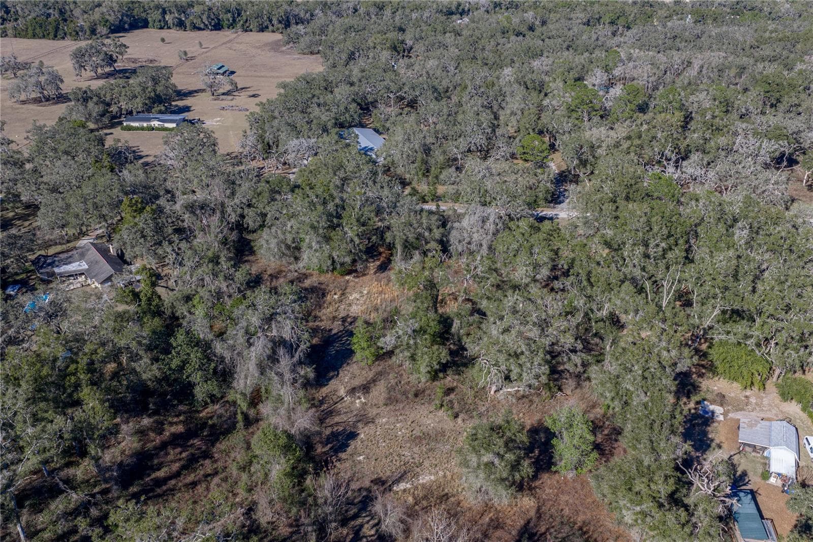 Land at 0 ROWNTREE DR, DADE CITY, photo 8 of 14