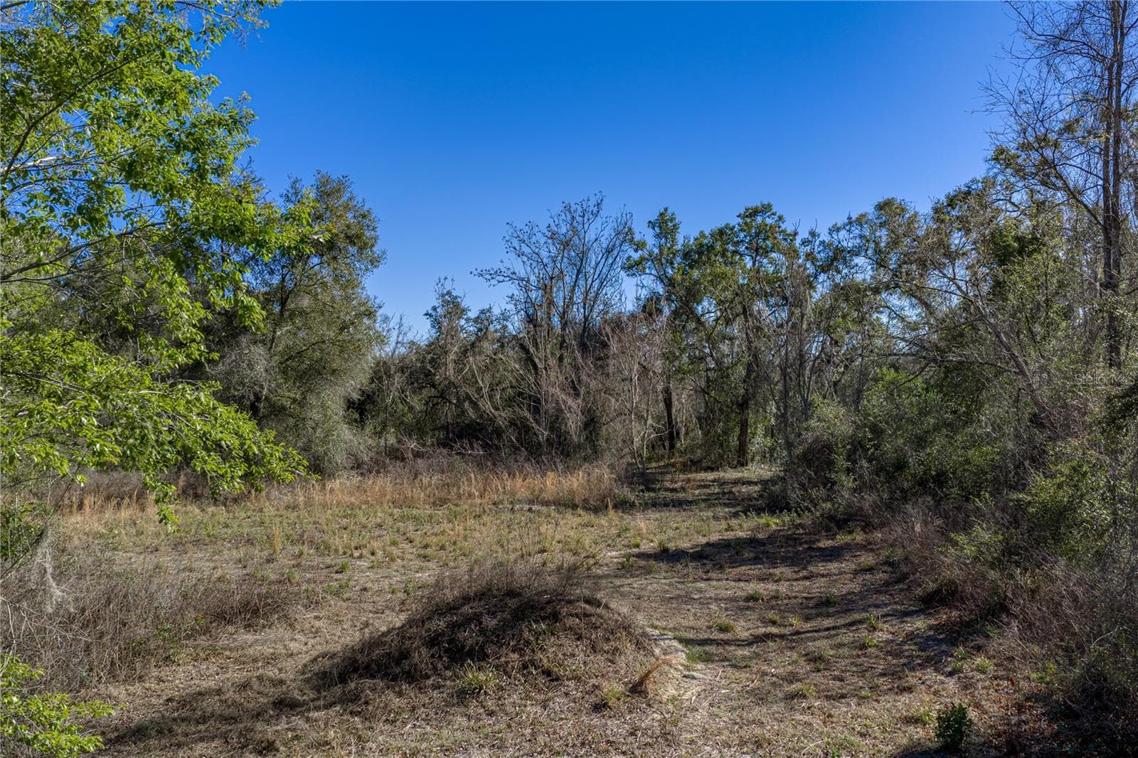 Land at 0 ROWNTREE DR, DADE CITY, photo 13 of 14